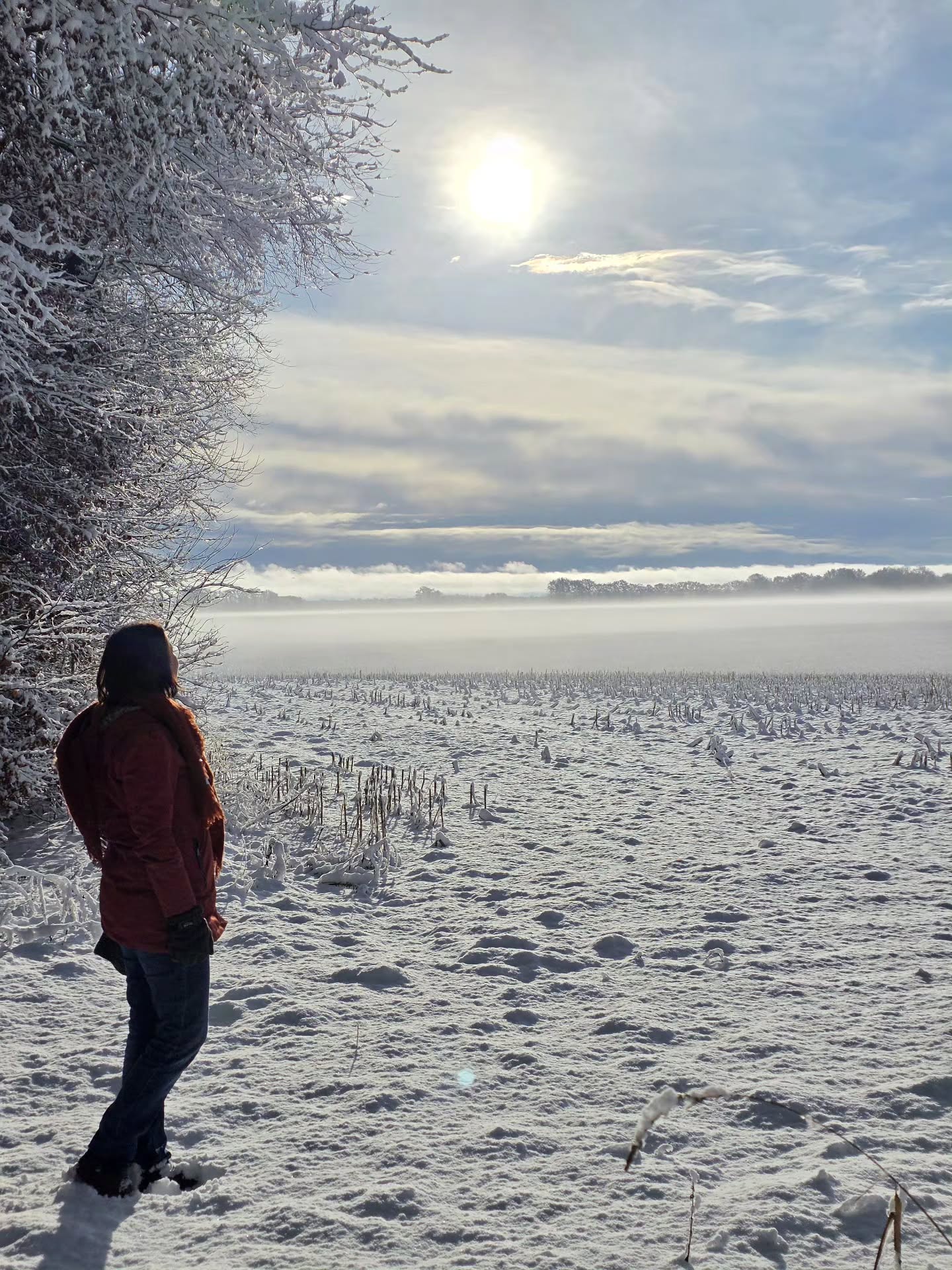 Januar. Ein Monat, der Neuanfang verspricht. Jetzt wollen viele durchstarten, endlich die guten Vorsätze erfüllen.
🩵 Doch ist der Januar auch dazu da, inne zu halten. Es ist noch Winter, dein Körper ist im Wintermodus. Vielleicht startest du dein Jahr damit, ruhiger zu werden, auf deinen Körper zu hören. Was möchte er dir sagen?
❄️Die Natur und die Tiere sind noch im Ruhemodus, nur wir Menschen wollen die Welt im Januar für uns ganz neu gestalten. Unser Körper sagt dazu ganz schlicht: "Nö. Ist Winter". Gönne dir, deinem Geist und Körper diese Winterruhe, und freue dich auf den Frühling.