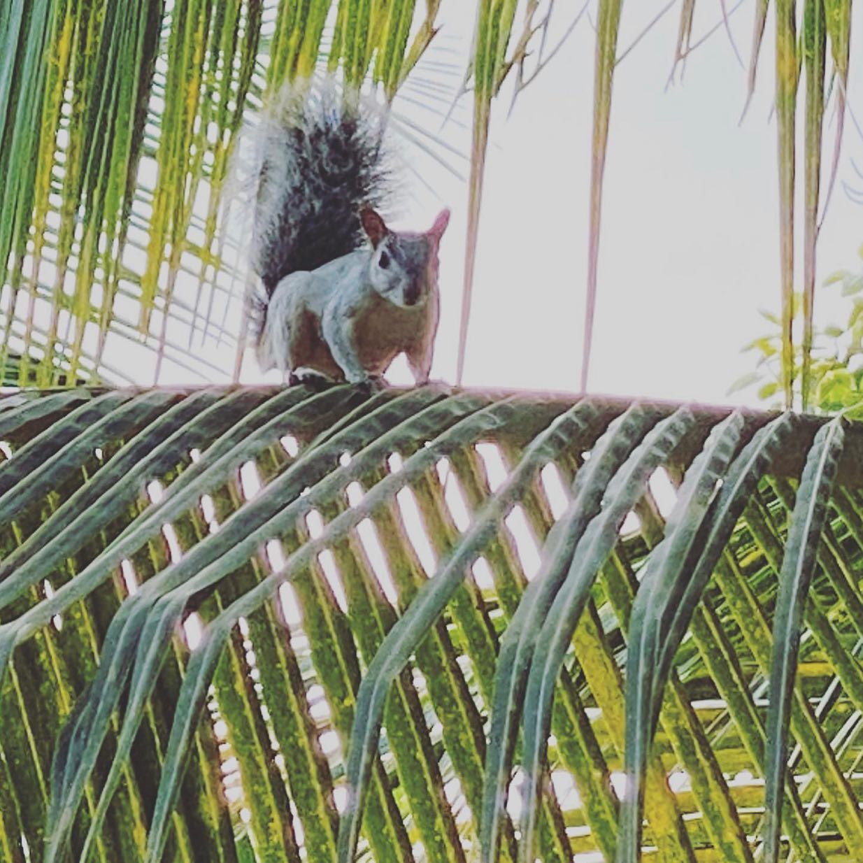 Exciting things are coming!!! 🏝☀️🤗 🛖🐠