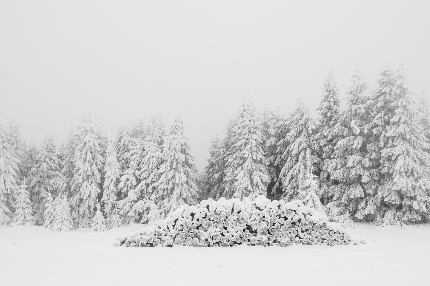 The never changing wood stack. It’s often like a Deja Vu when you revisit a location on a regular basis. This is a small place in the woods where 3 or 4 different trailheads start to some trails leading deeper into the woods or to the mountain-top. This particular stack of tree trunks is almost untouched for at least 5 years. We visit this place a lot in winter and the conditions are often very similar - so I have almost the same photo for 3 or 4 years in a row. 😳
Do you also have such never changing places?