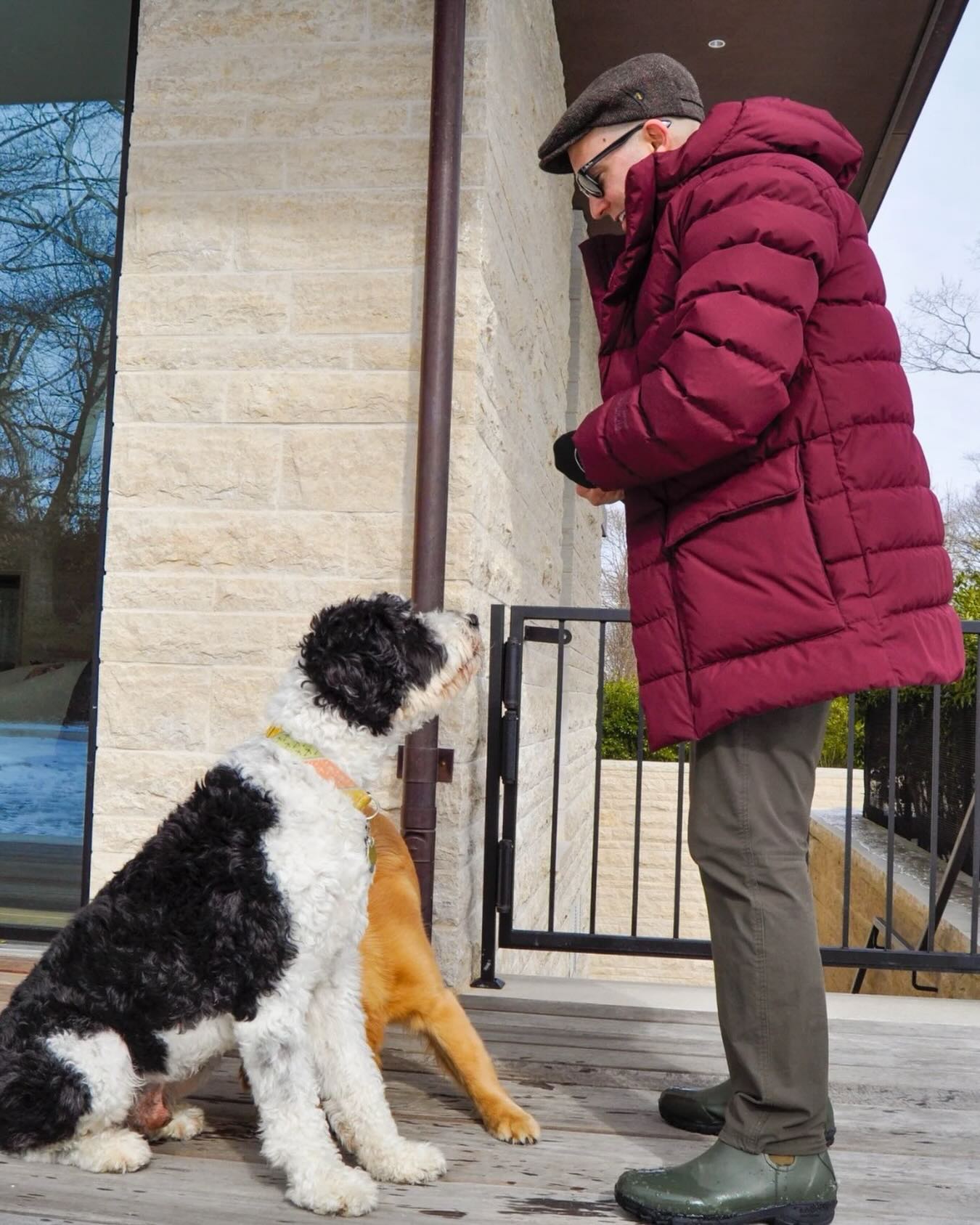 Your dog is learning. So are you. #WagWithWilliam #FearFreeTraining #PositiveReinforcement #BondWithYourDog