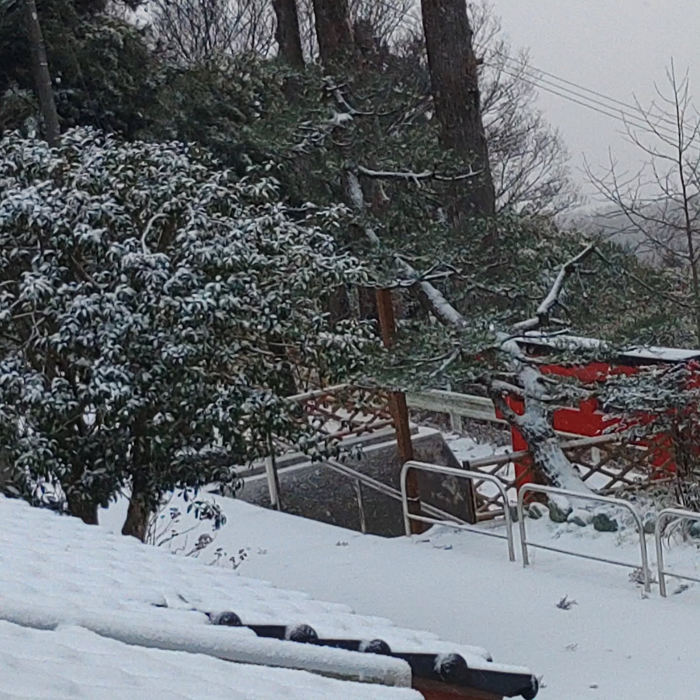 おはようございます‼️
皆様、今日も雪です。冬用タイヤ以外の方は参拝はお控え下さい🙇
皆様、お身体にご自愛下さいませ🙏