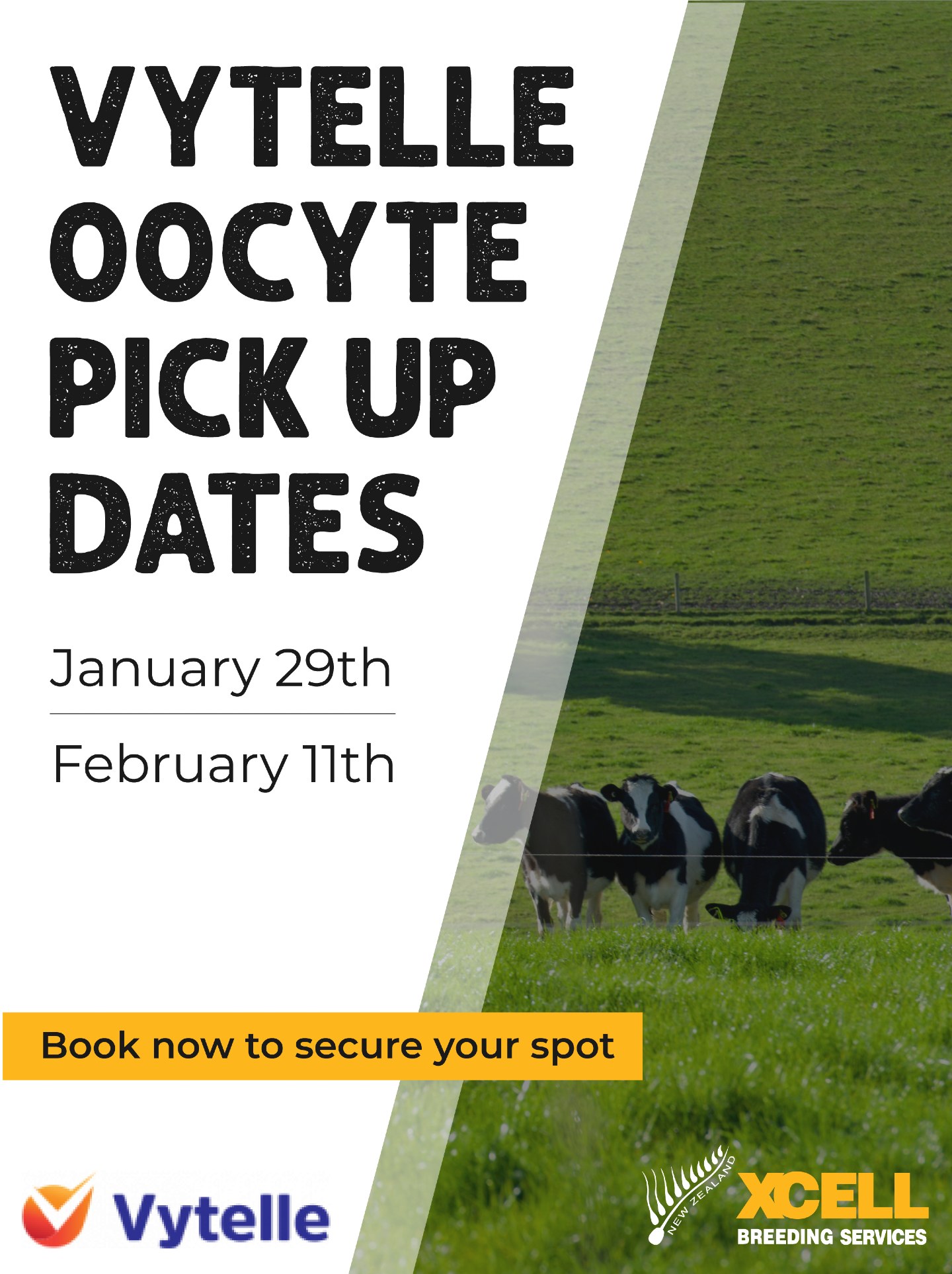We have locked in our first OPU dates for 2026 with Vytelle Australasia
Make sure to book your spot now as spaces are limited.
Contact the Office for more information about embryo collection: https://www.xcell.co.nz/contact