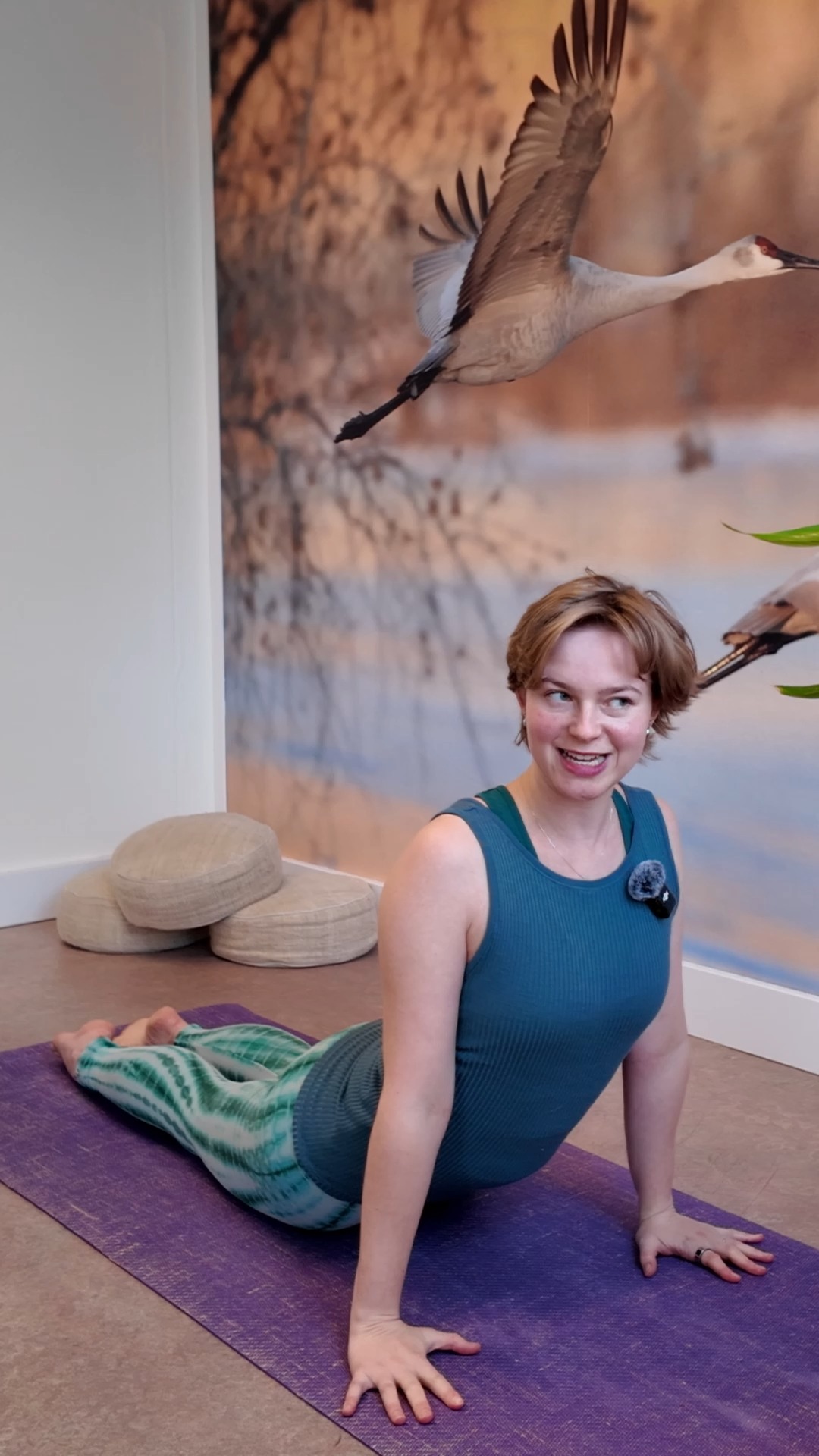 Do you know the difference between cobra and upward facing dog?
My yoga mat*: https://tidd.ly/3KZTA4A (use code "EJ15" for 15% off)
#yoga #quickyogatip #upwarddog #upwardfacingdog #cobrapose #cobra