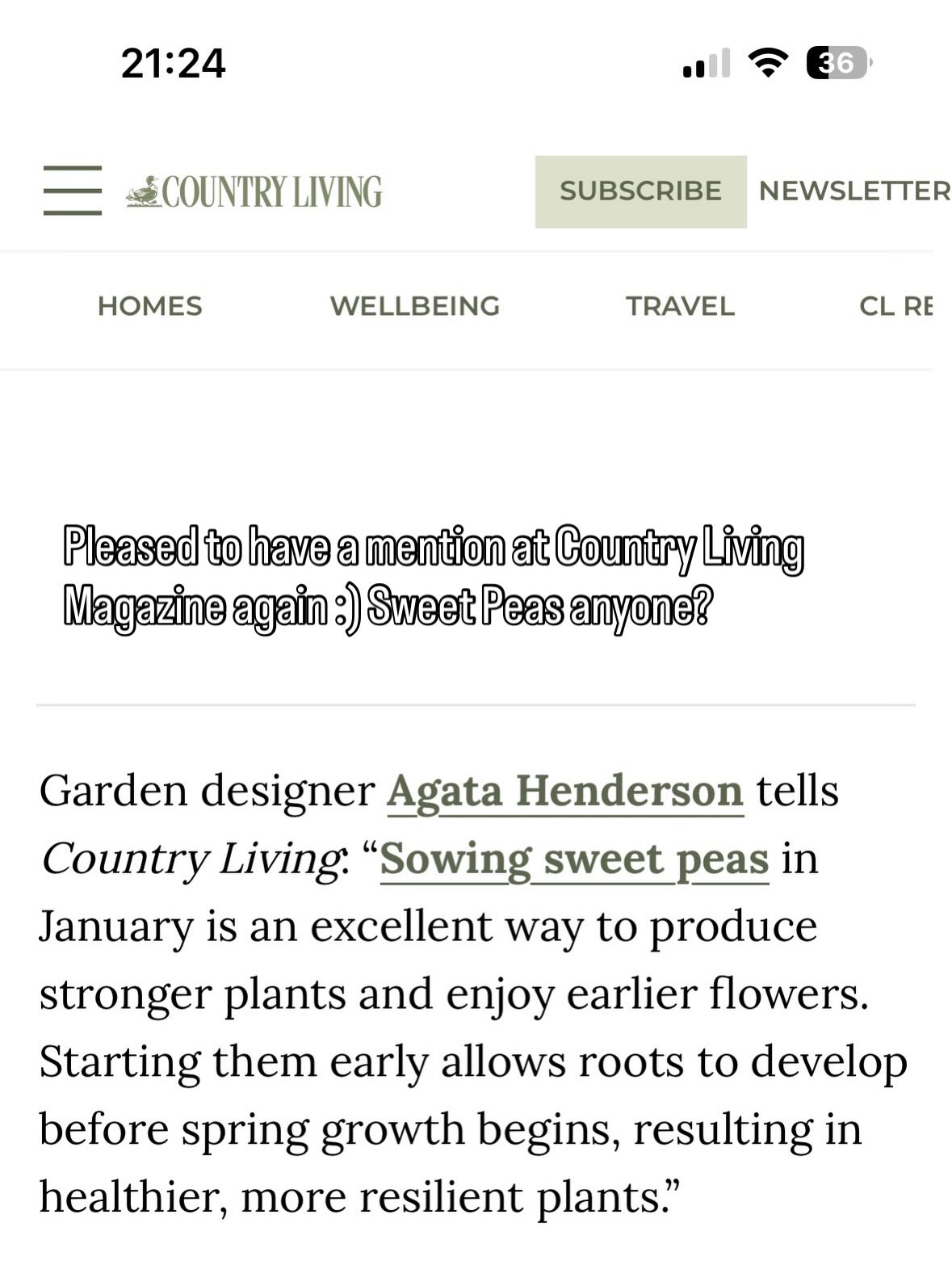 Lovely mention in Becky Bowden’s article about sowing sweet peas @beckybowdenuk https://www.countryliving.com/uk/homes-interiors/gardens/a69924777/how-to-sow-sweet-peas-winter/