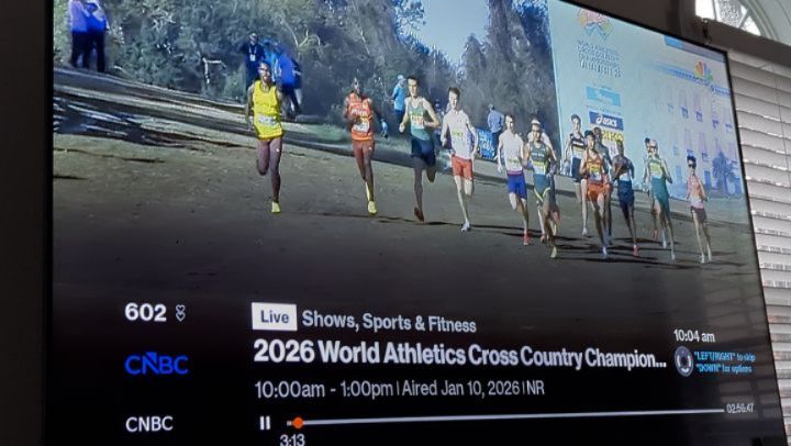 Check out the different obstacles at the World Athletics Cross Country championship in Tallahassee, FL.