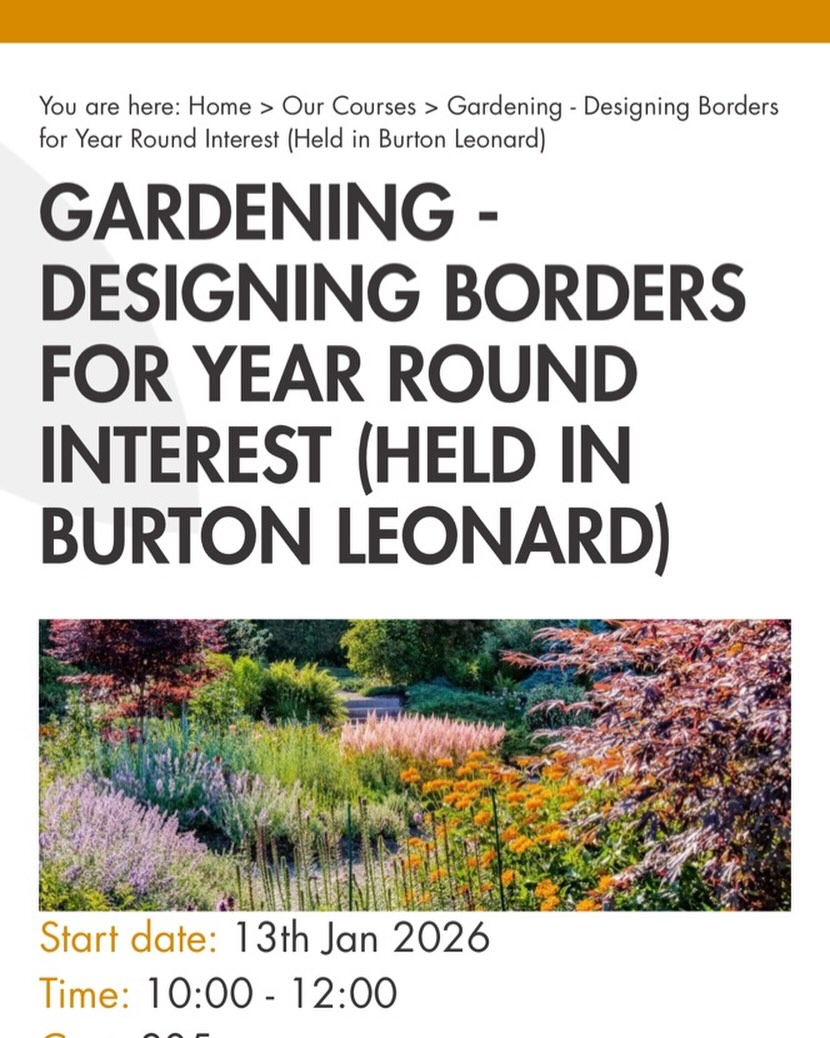Happy New gardening year! We’re off to a busy start with three garden talks to clubs in Yorkshire coming up and an exciting new course starting next week held on site here. Not too late to sign up through rossettadultlearning.co.uk #gardenworkshops #adultlearning #gardendesign #rossettadultlearning