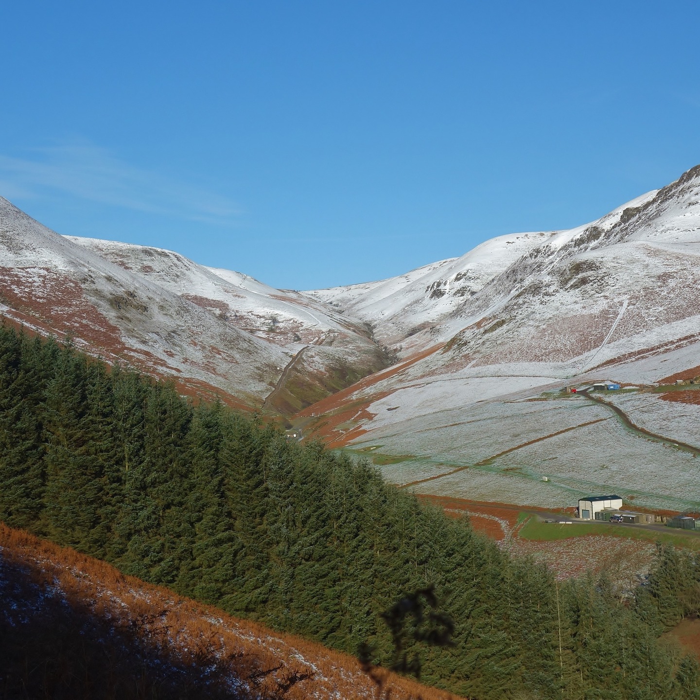 You wouldn't know it from the road, but the first winter shot is of the Harley Dingle in the Radnor Forest. It really is a surprise to many - you have to get off the main drag to know this area. These are older shots - just dreaming as I overcome a knee injury. Recovery is going well. I'll be out there soon, soaking up the delights of Mid Wales. #radnorforest #radnor #midwales #walkingwales #waleswalking #thewalescollective #naturewalk #walknature #naturesway #hillwalking