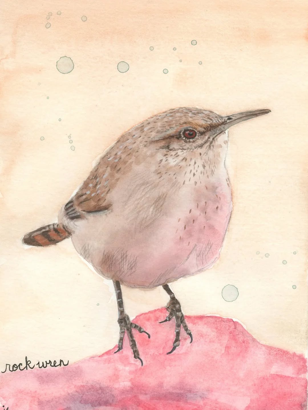 #watercolorart #watercolormixedmedia #watercolorpainting #abstractwatercolor
#ilovebirds #bird #birdartist #birdart #birddrawing #birdpainting #birdillustration
#birdnerd #birbs
#fabercastellglobal