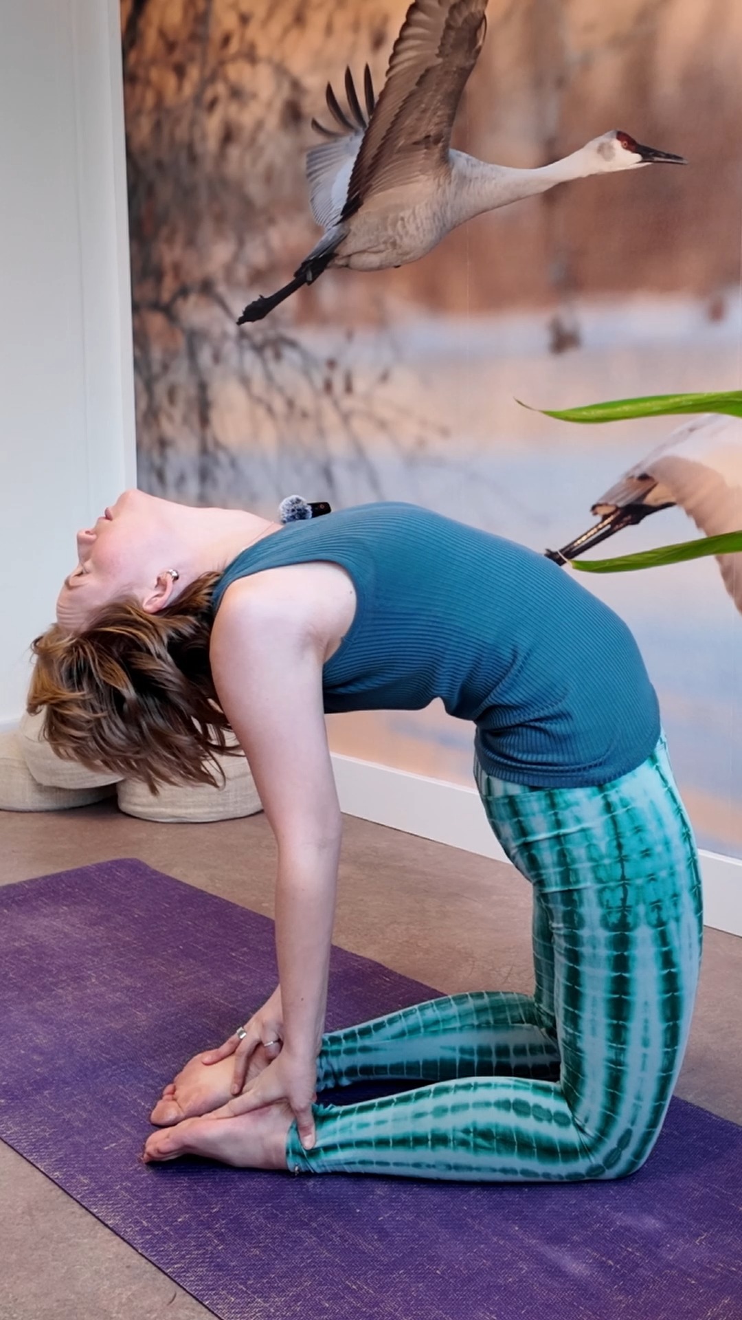 Yoga is not about creating the perfect shape, these are all good Camel variations 🐫 Focus on how the posture FEELS.
Yoga mat: @completeunityyoga (use code "EJ15" for 15% off)
#quickyogatip #camelpose #yoga