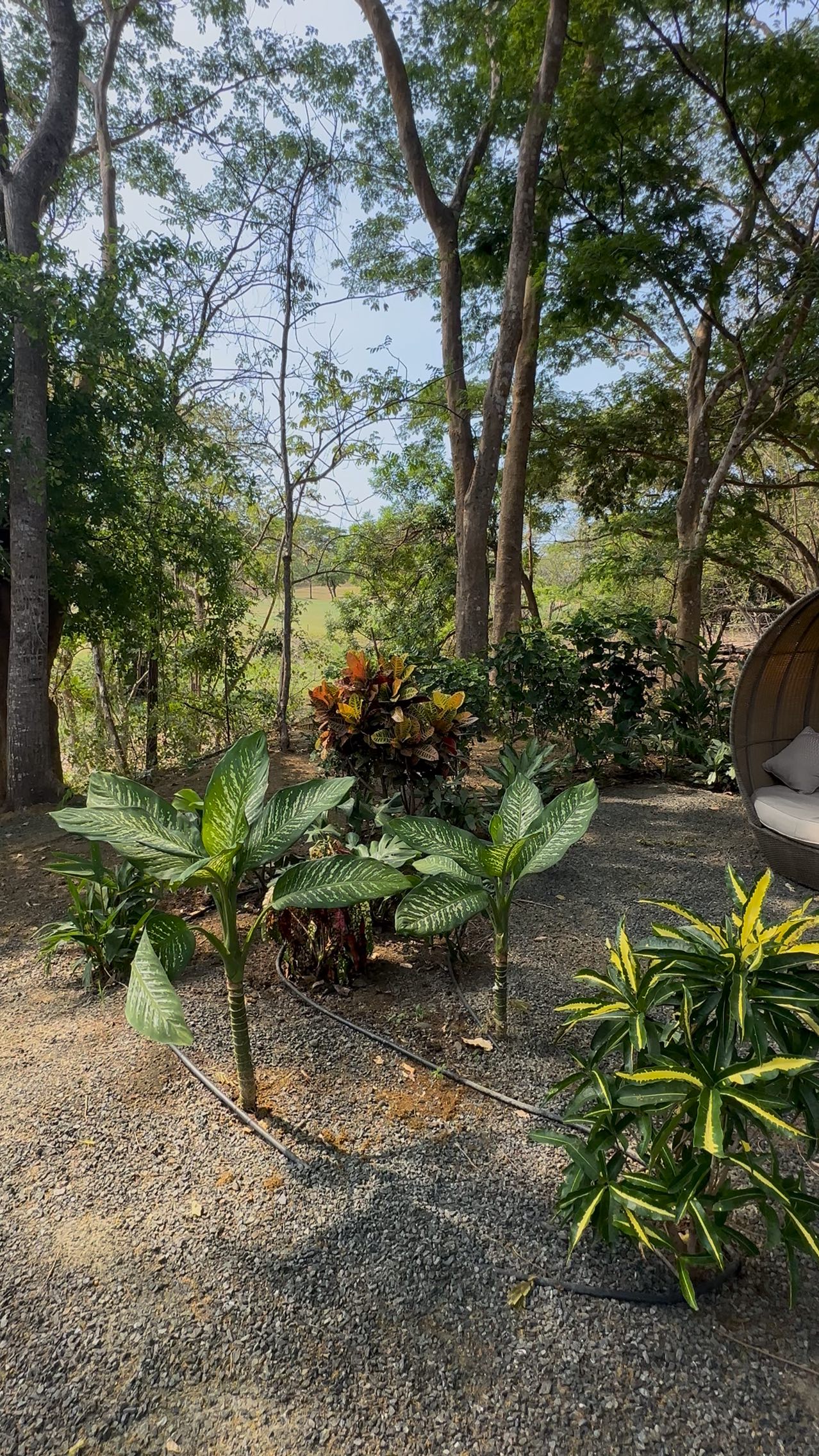 “Travel as much as you want.
As often as you can.
And when you do—make it Costa Rica! Private villas. Lush nature. Pura vida luxury.“ #guanacastevacationrentals #tamarindovacationrentals #luxuryvacationrentals #travel #costarica