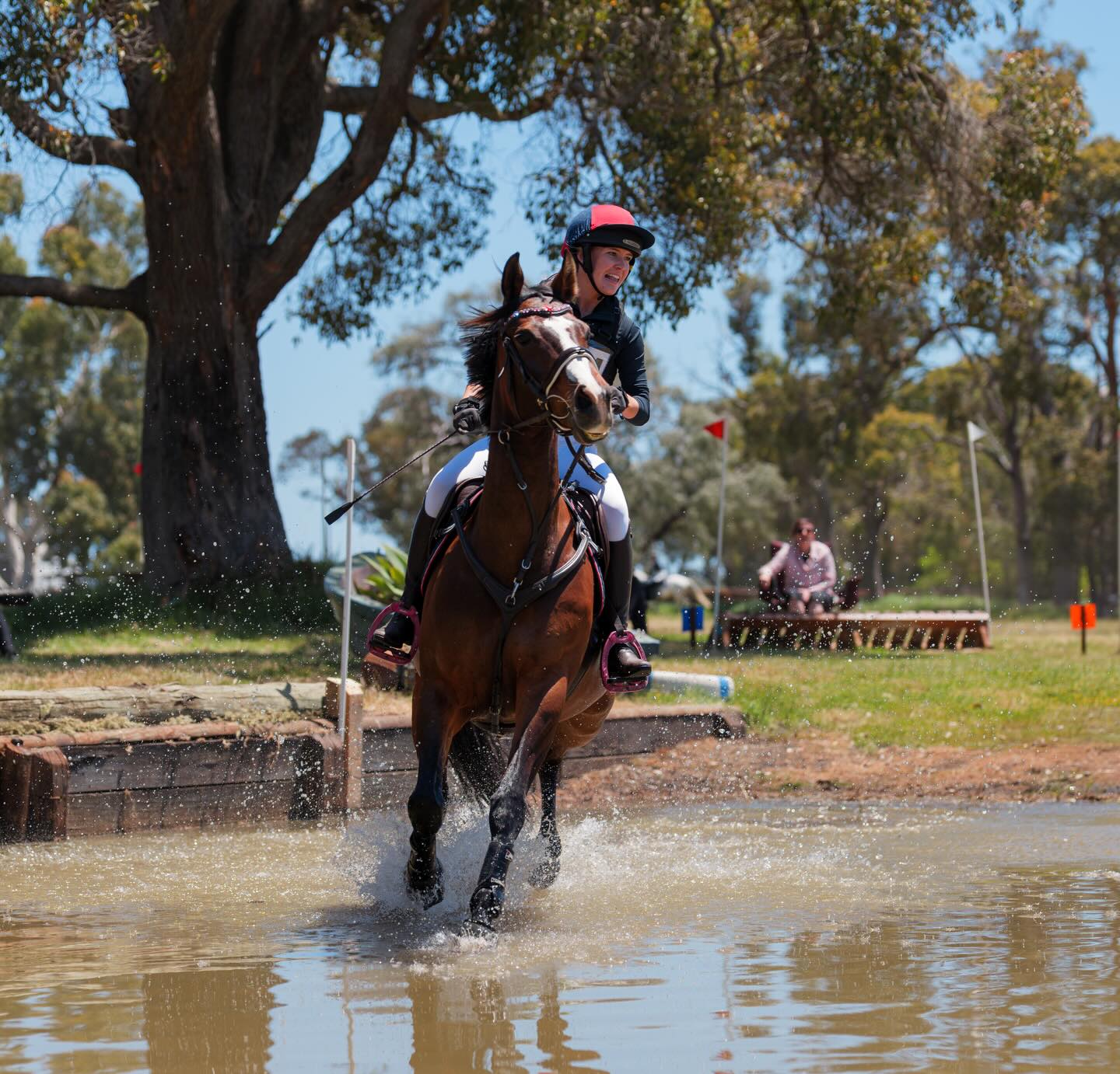 Few of our favs from Swan River CNN’s at the Capel Equestrian Centre back in November, shooting for the Shire of Capel 🏇
Need photography for your next event?
📧 info@infiniteproductions.com.au
📞 0481961455
🌐 www.infiniteproductions.com.au
•
•
•
•
•
#videographer #perthvideographer #perthvideography #perthvideographer #bunbury bunburyvideographer bunburyvideography photography bunburyphotography bunburyphotographer horsephotography equestrian equestrianphotography showjumping
