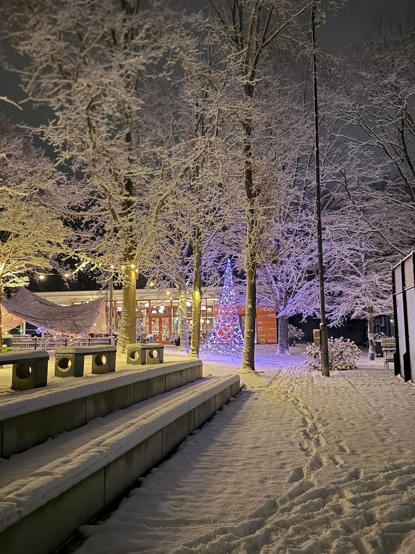 LTVL by night ❄️☃️!