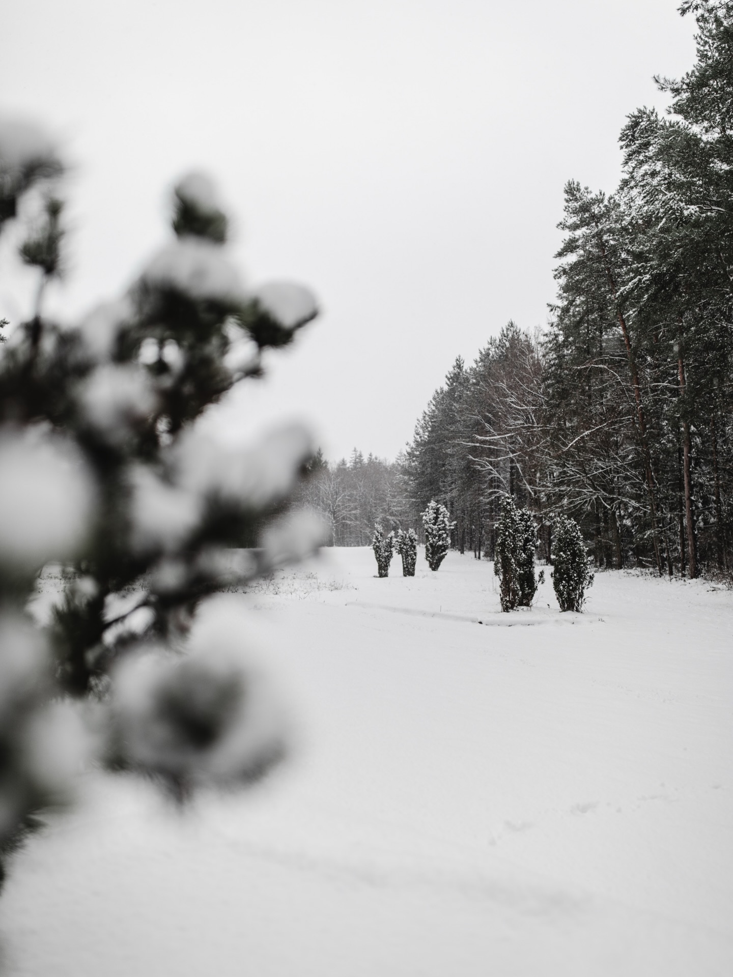 Winterwonderland #golf #golfstargram #oldenburgermünsterland