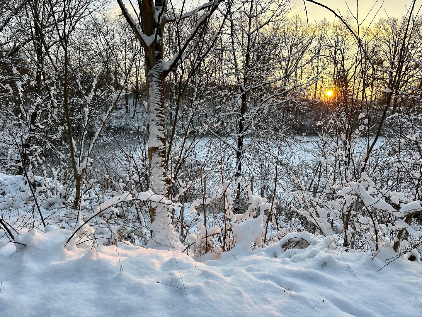 Winterwunderland auch bei uns ☃️ - und das Schöne: ab heute haben wir wieder für euch geöffnet, ab 12 Uhr könnt ihr euch die Pracht anschauen und im Hofladen einkaufen. Am Wochenende sind wir natürlich auch für euch da, dann mit Café und gemütlichem Kaminfeuer mit ☕️&🍰!
Fotos: @sandradra2018