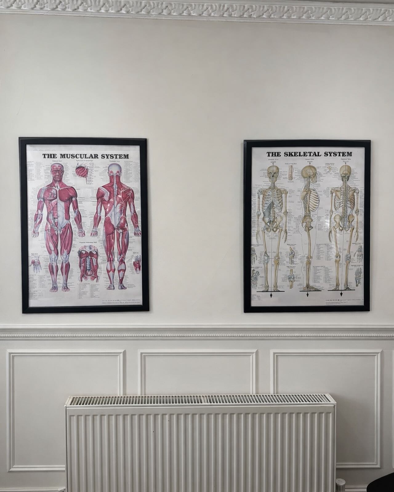 We are back at it after Christmas break 🎅🏼 🙌🏻 as the days get colder 🧊 🥶 we struggle with mobility & range of movement more than ever!!
Call in for an MOT treatment and get yourself back on track! 💪🏻 #osteopath #lenham #lenhamvillage #ashford #maidstone #canterbury #london #backpain #sciatica #backissue #frozenshoulder