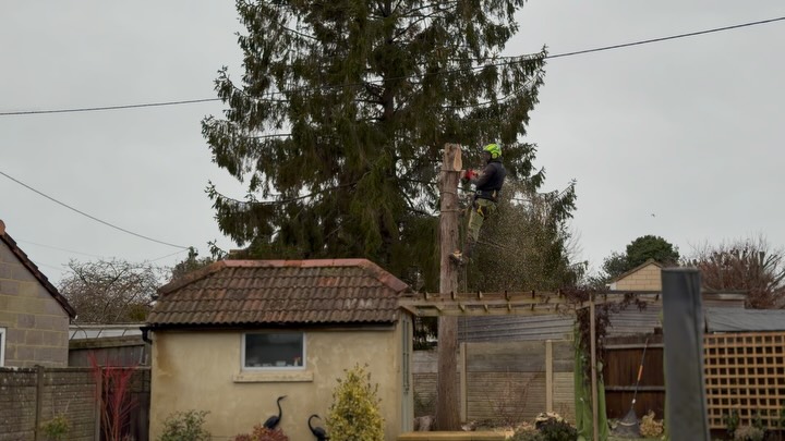Take-down day complete 🌲💪
Today’s job was the removal of a semi-large Cypress tree. A fairly straightforward take-down, with a few ground-level obstacles to keep an eye on. Everything was chipped, logged, and left clean and tidy 👍 — most importantly, one very happy customer.
We even managed to beat the weather warning in the area… although the rain caught up with us later while pruning smaller trees and bushes 🌧️🌿
If you’re looking for professional tree work, get in touch today for a quote.
📧 Email: info@mjbgroup.co.uk
📞 Call: 01225 941139
🌐 Visit: www.mjbgroup.co.uk
#TreeRemoval #TreeTakedown #CypressTree #TreeSurgery #GardenMaintenance ProfessionalTreeWork LandscapingUK FullyInsured OutdoorSpaces MJBGroup CustomerSatisfaction