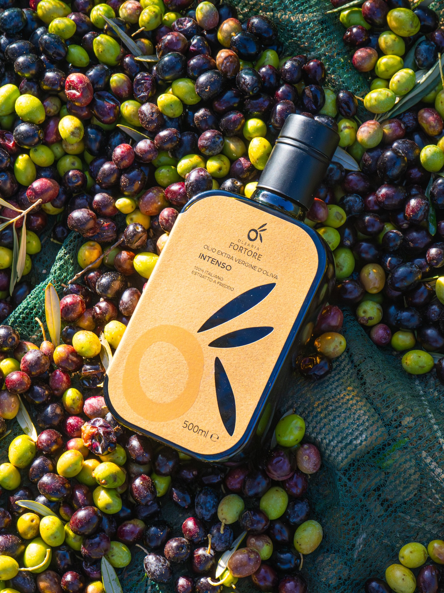 Gusto deciso, carattere autentico 🌿
INTENSO è l’olio che racconta la nostra terra al primo assaggio: profondo, strutturato, con note vegetali marcate e un finale persistente.
È il più scelto perché sa esaltare ogni piatto, dalle bruschette alle carni, dalle zuppe ai piatti della tradizione. Un olio che non passa inosservato, pensato per chi ama i sapori veri.
Olearia Fortore.
Quando l’intensità diventa qualità.