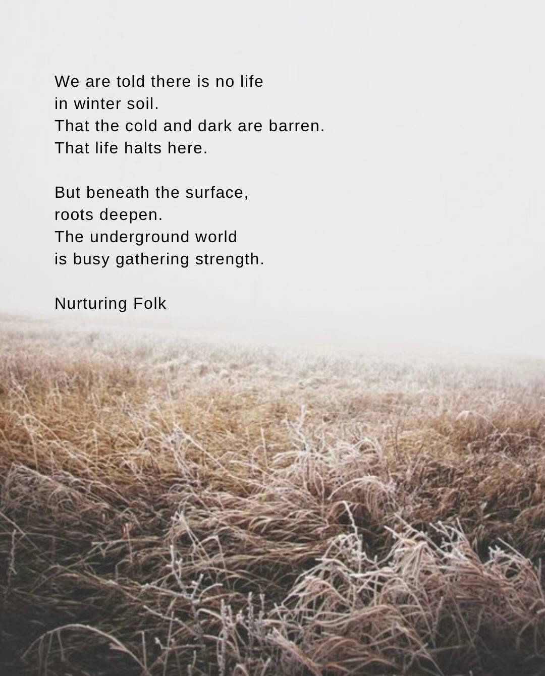 Thoughts from the woods on winter and rest
I wonder, what might it look like & how might we feel if it were as easy to trust the unseen as it is to love the summer sun…
Externally, we are told this is the time to draw the roadmap, make the plan, commit to something, get fit, set a goal, do the thing.
Resolve to be kinder to ourselves, to rest more, to DO or be something.
To improve or remove… that we must Grow.
It’s so fucking dull.
What if stillness and not knowing is the closest to knowing we’ll ever get?
How would it be if we accepted deep winter as just as essential to our cycles as hot high summer?
We’re often told that we cannot grow in winter soil, that the cold and dark are barren, that life halts here in the stillness of winter.
It would be easy to believe this season is bad when we’re taught that summer and light are good.
But both are needed, As is the journey between the solstices and the seasons.
Night and day. Light and dark. Winter and summer it’s all part of one whole.
Beneath the surface, roots deepen, the underground world is busy gathering strength.
Seeds rest, life is pregnant with the potential for what is organically to follow.
We need both duality and unity.
Sometimes it’s not about blooming, shining, or growing outwards.
Sometimes it looks like softening and surrendering into stillness, gathering what you need to sustain yourself.
Listening in deep stillness, to the formless field, where no answers or plans come, only staying present.
These moments gift us the practice of trusting the unseen, conserving energy, letting yourself rest, and knowing that everything has its time.
That winter soil, YOUR soil, is alive with possibility, just waiting for the right moment to awaken.
So I wonder, how are you meeting this season of stillness?
What might it look like to let yourself rest, to soften, to trust that the seeds of possibility are gathering strength beneath the surface… can you drown out the noise and let yourself winter?
I know it is my biggest love and my greatest practice, because it is not easy… at least for me.
Beaming love from my heart to yours,
Ali x
#slowdown #wordstoliveby seasonalliving #medicinewoman