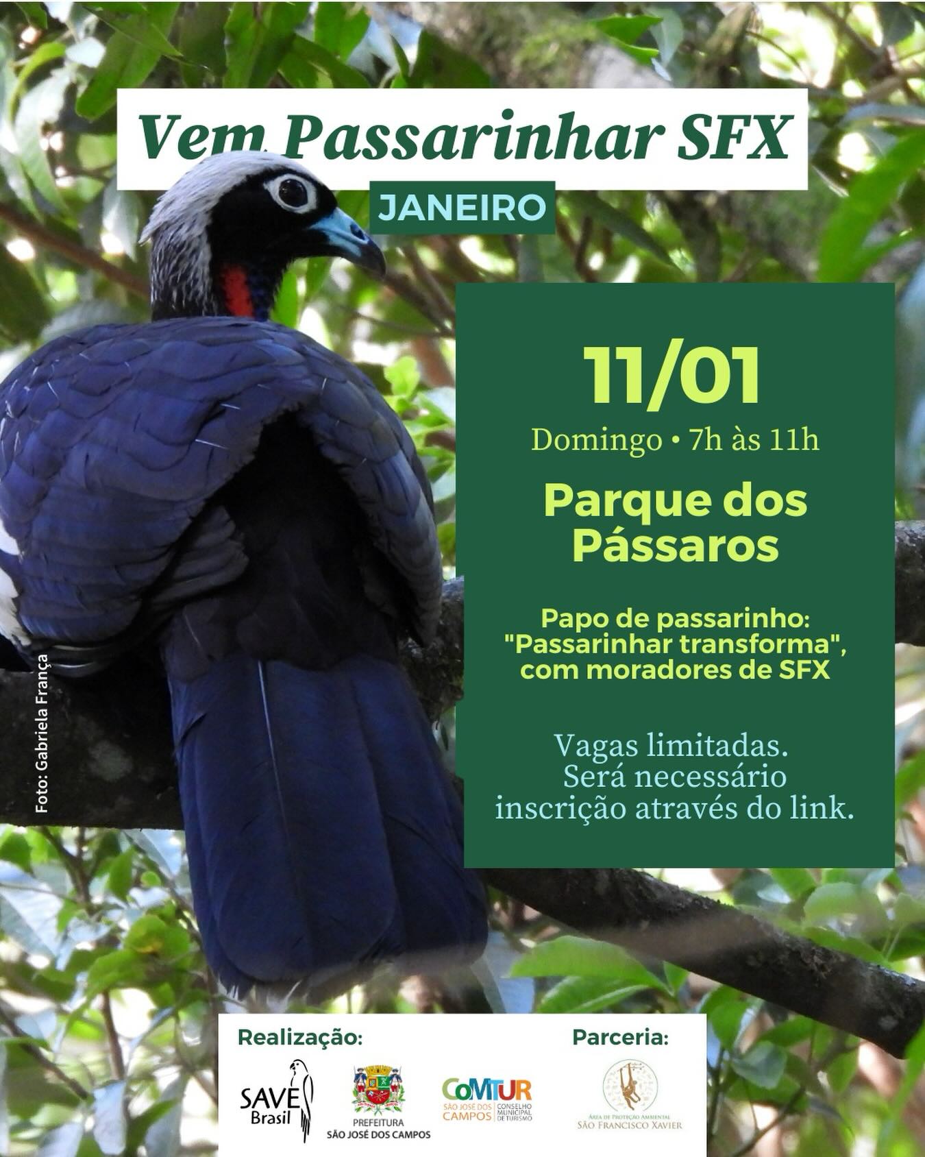 Vem começar o ano em grande estilo no Vem Passarinhar São Francisco Xavier!
🗓️ Anota na agenda: domingo, dia 11 de janeiro, das 7h às 11h, no Parque dos Pássaros.
Como sempre, além da observação de aves, teremos aquele momento especial de troca de conhecimento. No Papo de Passarinho, moradores de São Francisco Xavier vão contar como observar aves transforma o olhar e a vida.
Ah, e se você não tiver binóculo, não tem problema: a gente empresta! 🔭😊
O Vem Passarinhar SFX é uma atividade gratuita e aberta ao público. Traga sua garrafinha de água, protetor solar e muita curiosidade pela natureza 🌿💚
📍 Inscrições pelo forms no link da bio!
Realização: SAVE Brasil, COMTUR SJC e Prefeitura de São José dos Campos.
Apoio: APA SFX.
Parceria: @casaimasfx
#SAVEBrasil #avesdobrasil #jacutinga #sfx #sjc