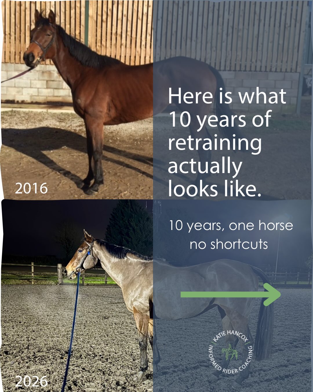 “This didn’t happen in a season.”
This is Abbie.
A Thoroughbred who started life doing exactly what she was bred to do — run fast, in a straight line, under pressure.
Retraining her wasn’t about slowing her down.
It was about teaching her an entirely new job — physically and mentally.
When you start to learn a new skill you’ve never done before it’s the start of a long process. However, because you have no prior learning you can progress reasonably quickly.
But
If you have learnt a particular skill in a certain way and then wish to change and do something differently you have to do 2 things.
First you have to de-train or un-learn the original skill THEN you have to learn the new skill and retrain your brain and body to become competent at the new skill.
This retraining process is exactly what we do with our ex racehorses.
What you don’t see in the polished photos:
• Years of strength work before expression
• Long phases of staying “basic” on purpose
• Plateaus that lasted months
• Rebuilding when her body said “not yet”
Muscle is quick to change.
Tendons, bones, coordination and nervous system patterns are not.
That’s why shortcuts show up later — as tension, breakdown, or “behaviour problems”.
Ten years on, she’s not just doing advanced work.
She’s capable of it.
If you’re feeling behind with your horse, chances are you’re not.
You’re just in the bit most people don’t talk about.
And that’s exactly the part I help riders understand — so good horses don’t get rushed into problems they didn’t need to have.
So they can be as happy as I am every time I sit on my horse.
Katie - proudly owned by a very special horse.
#informedridercoaching #exracehorse #trotinto2026 #retrainingofracehorses