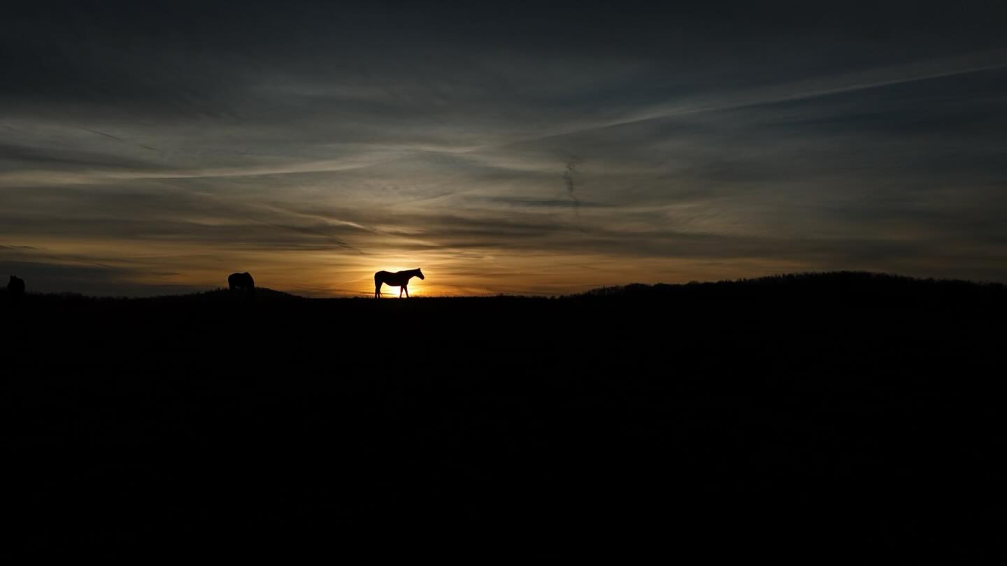 A few days late, but Happy new year! They say 2026 is the year of the fire horseโdonโt think we could have captured it any better than that! ๐๐๐๐ฅ๐ฅ๐ฅ
Hereโs to a great year! Canโt forget this amazing photo cred goes to @alextste #firehorse #firehorse2026
#piedmonthorseretirement #horseretirement #horseretirementfarm #livingthegoodlife #livingtheretiredlife #retiredhorsesofinstagram #retiredhorses #horsesofinstagram #horses #horselife #horsecountry #huntcountry #ponies #retiredponies #retiredponiesofinstagram #thoroughbred #thoroughbredsofinstagram #retiredthoroughbred #retiredracehorses #retiredracehorsesofinstagram #landthatilove