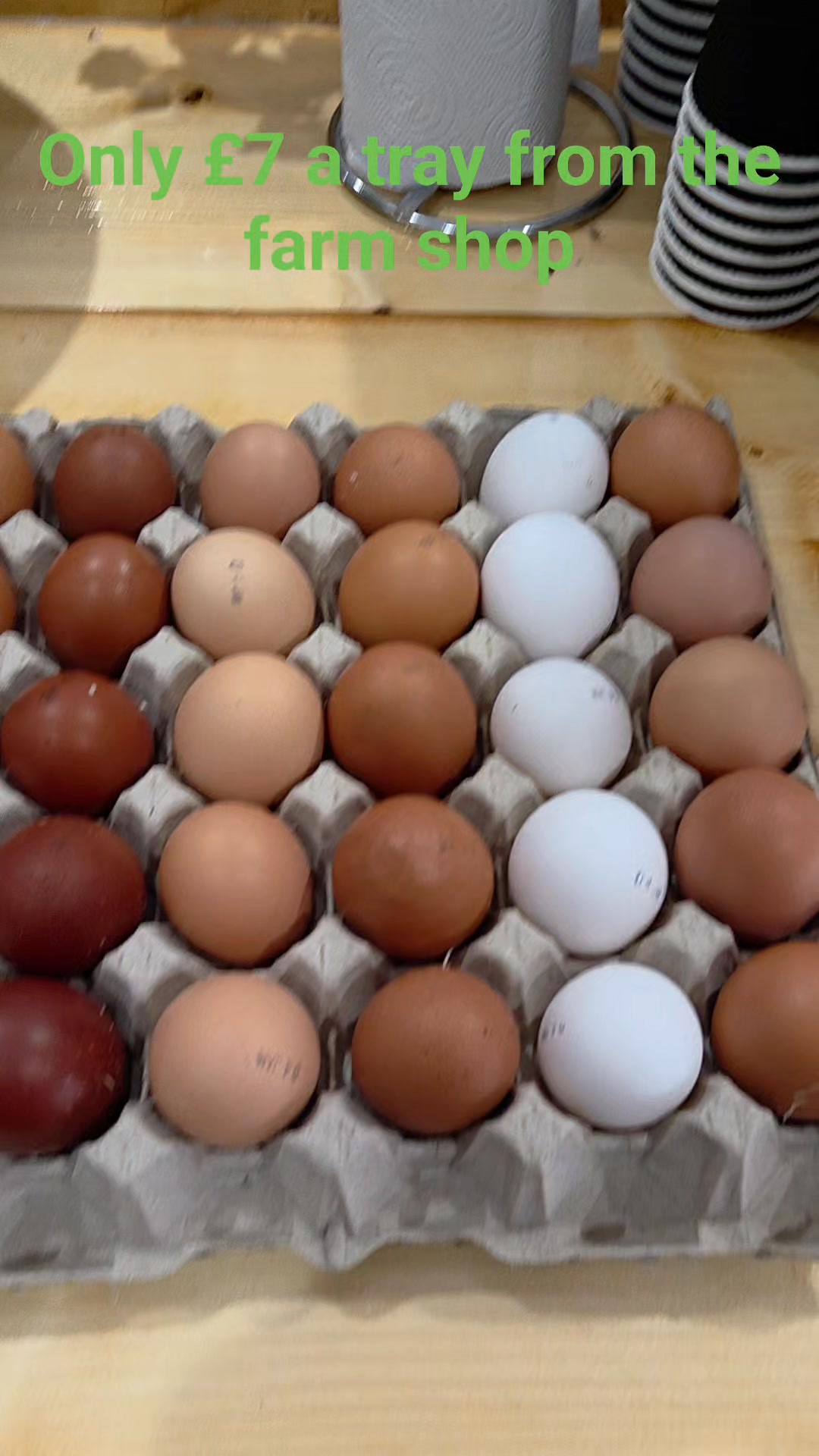 Leghorn's lay the white eggs, Burford Brown's lay the dark brown eggs and the light browns are from the rest of our chickens
