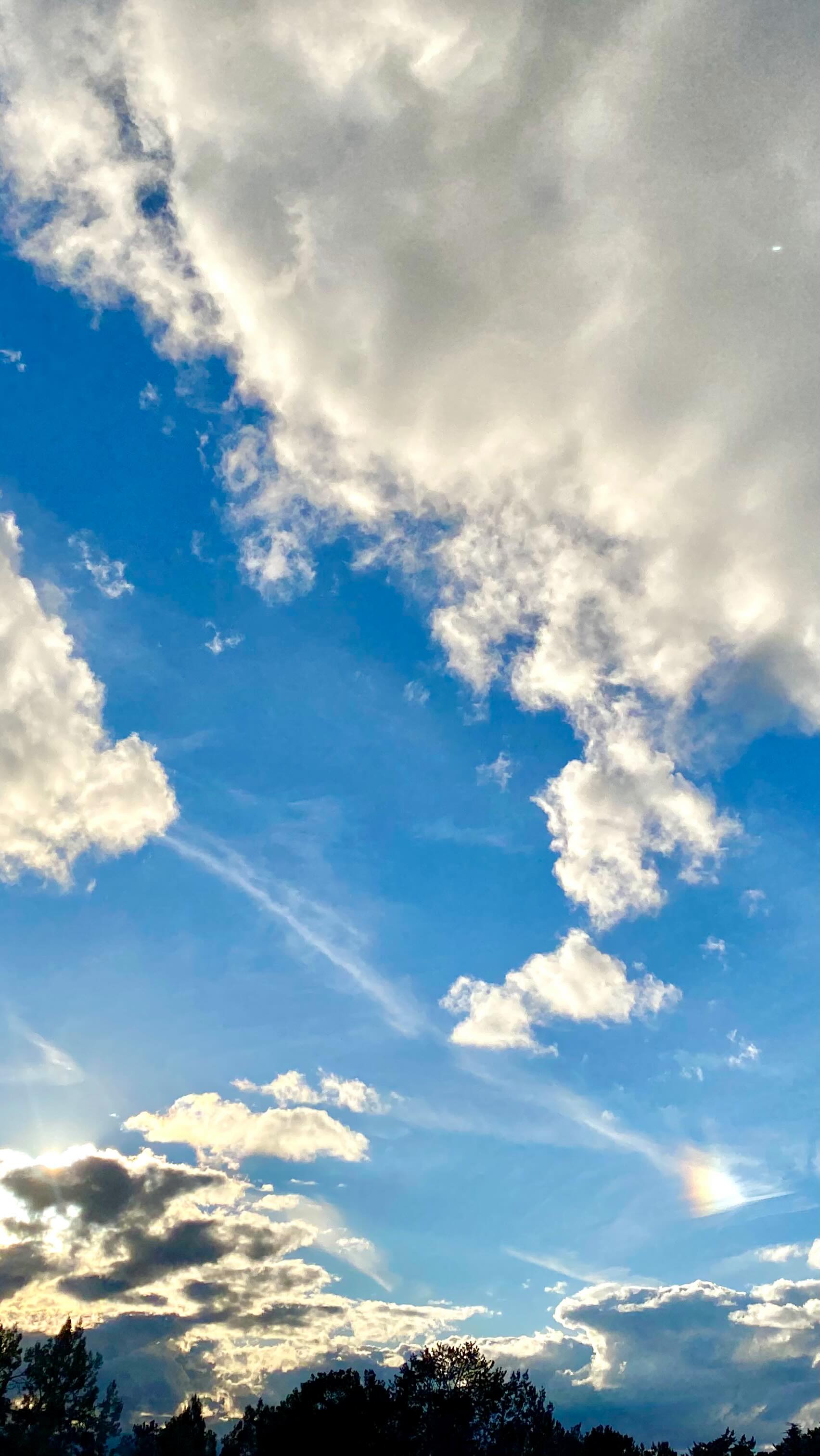 When life presents challenges
I still choose Angels in the sky
I still choose love
I still choose to stand strong
in the light of the dreams that
thrive in our sacred hearts
Together we are light that chooses
to create everything good ✨
#sedona #angels #dreams #starryvenus #love