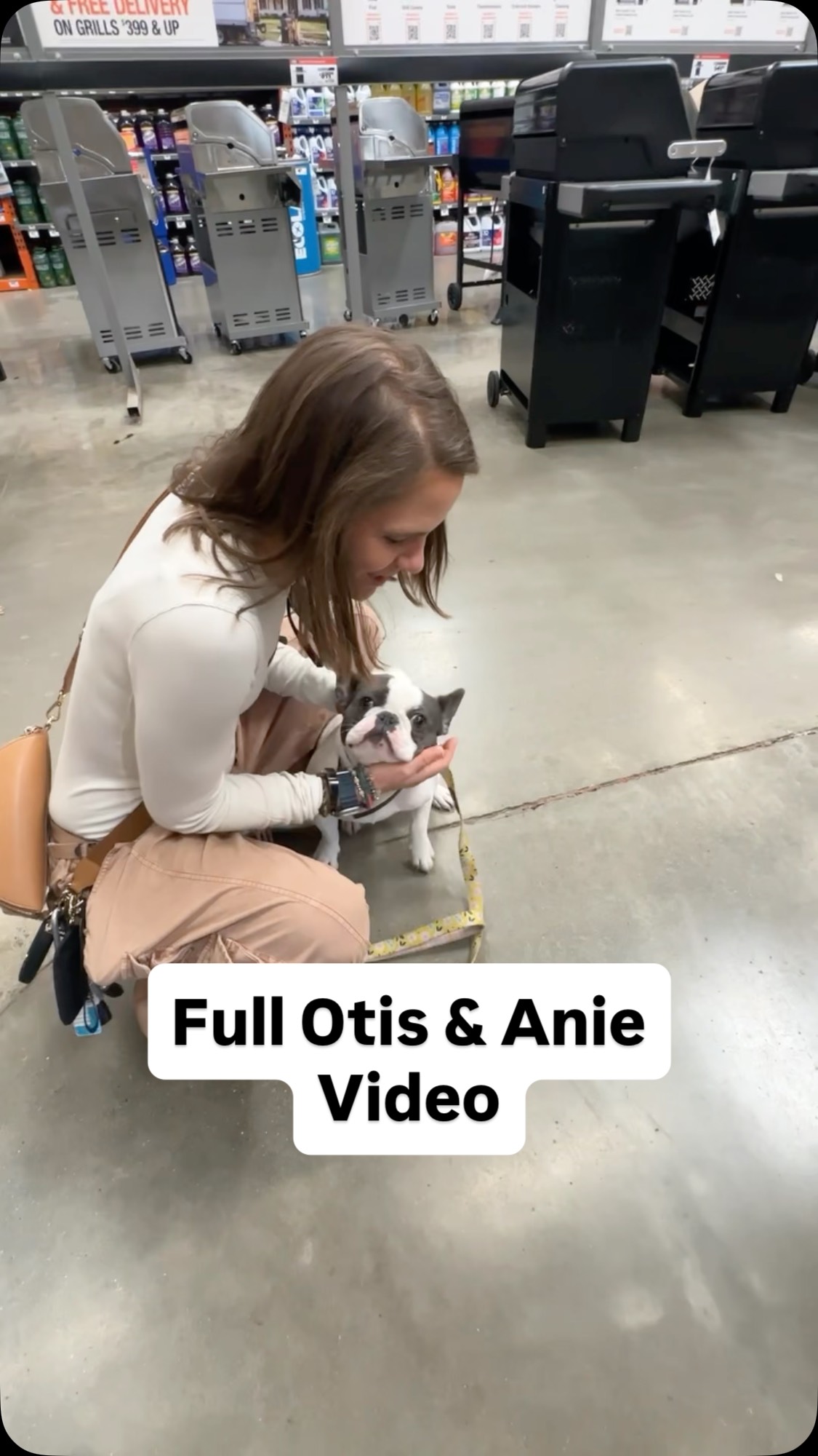 Otis the French bulldog is not an aggressive or reactive dog. Hes an insecure dog whose world was very small due to past behavior.
Home Depot trips are NOT the only engagement or kinds of walking this dog gets.
Lesson one was an evaluation to see what was up and to show his people he wasn’t really aggressive. Lesson two we taught the communication system and reintroduced Otis to the neighbor boy who he bit. Lesson three we introduced him to Mila and they had a blast -‘#. Lesson four we went to Shelby dog park (yep) and also let him observe the geese off leash for the first time in public. This video is most of lesson 5.
Since the FF / +R / Positive only community cannot seem to find my YouTube I’ll just post this video here.
I actually show all my work with my clients’ permission, so if you’re gonna come at me with “Poor Dog,” actually be willing to see what you’re criticizing.
At some point people start becoming a sheep / robot / parrot of an ideology instead of saying
1. Did it work?
2. Did it improve overall welfare?
3. Did the dogs emotional state improve?
There is another video of Otis at Shelby Park, and I’ll ask @amieledford if I can share. This is where we worked on the biological fulfillment side of things.
The bigger picture still involves much more freedom and play, and yes an occasional punishment. Because sane people know that fair, clear punishment creates clarity, trust, predictability, and freedom.
Stop listening to the liars who aren’t even dog trainers who won’t show their work or sometimes even their faces.
#frenchbulldog #offleash #dogtraining #dogsofinstagram nashvilletn