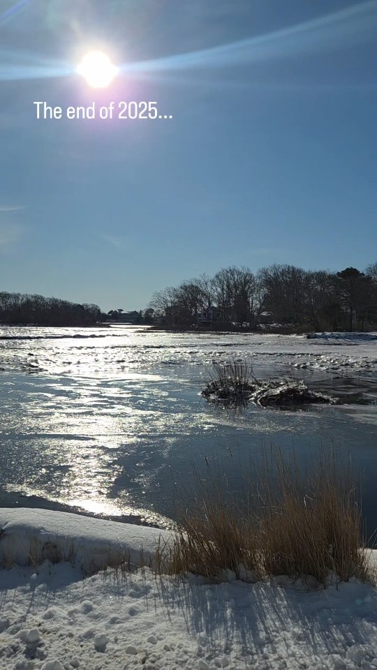 It's been a minute but 2025 ended strong with a little trip to Portland, more music, and cozy vibes. We are so grateful for a fantastic year and excited for more fabulous events in 2026.
Now it's time to settle into admin work, plan for the upcoming wedding season, and to look ahead to 2027 weddings with new clients. It's a little late, but happy new year!