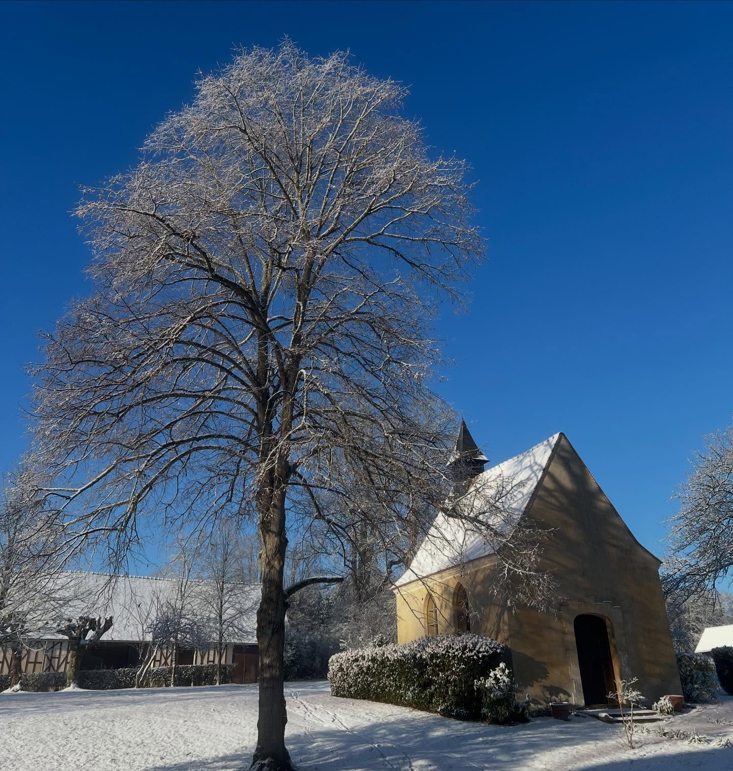 Joyeux Noël et bonne année 2026! ⭐️