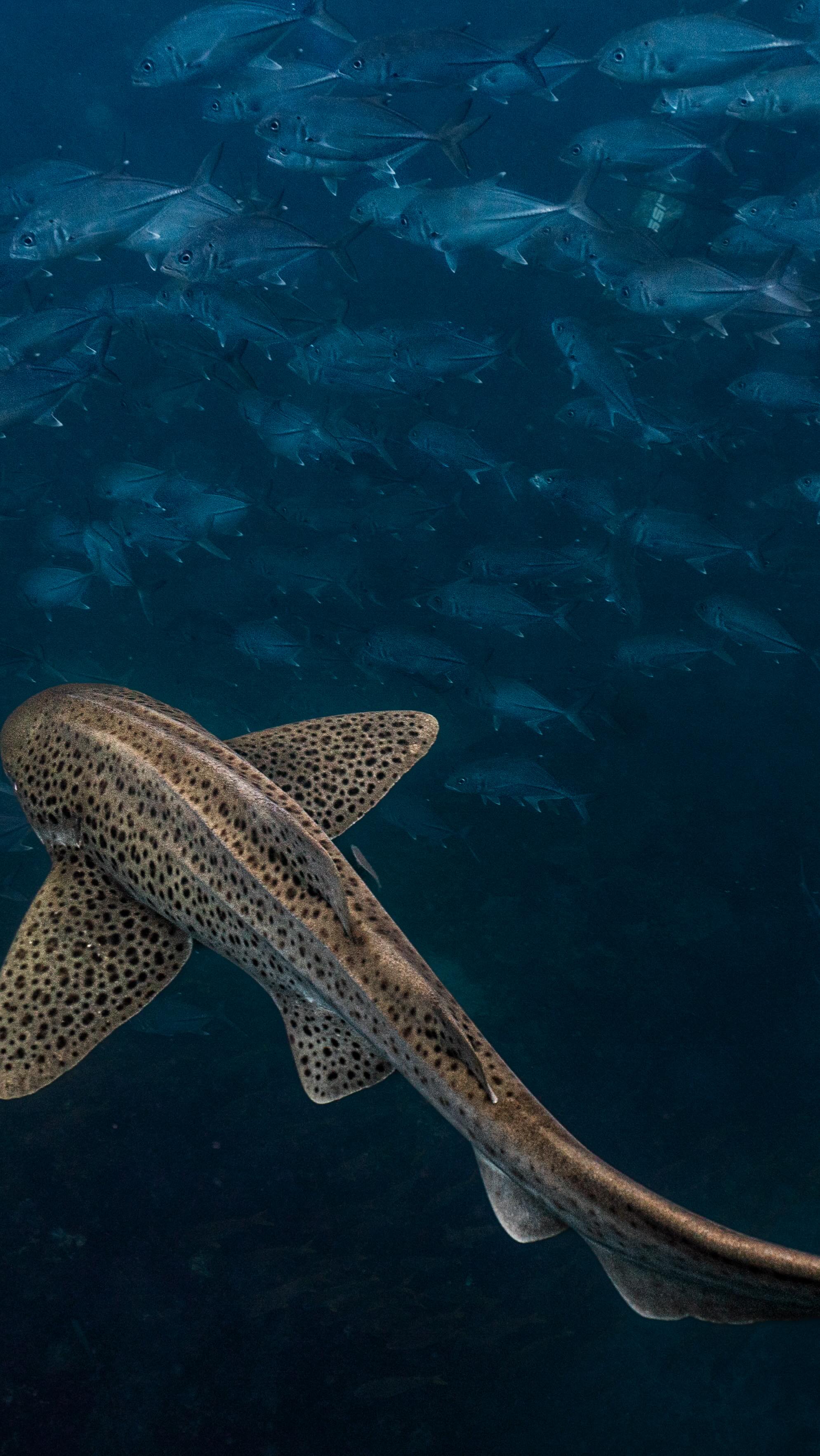 Starting the new year the right way. 🫶