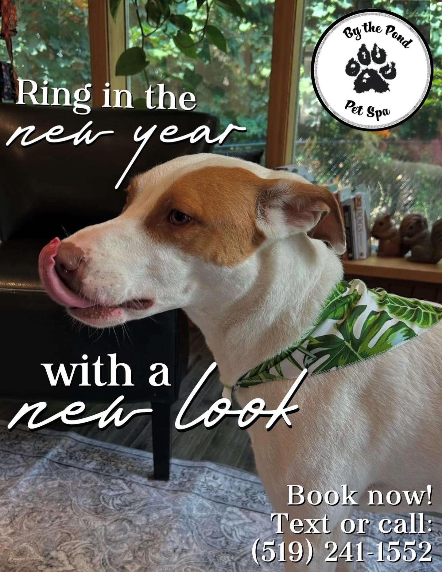 It’s never too late to book your first groom with us at By the Pond Pet Spa. Make it a resolution to get your dog booked in with us for their best groom yet! 🐕
Text or call us today — (519) 241-1552
#doggrooming #bythepondpetspa #smallbusiness #cambridgeontario #doggroominglife