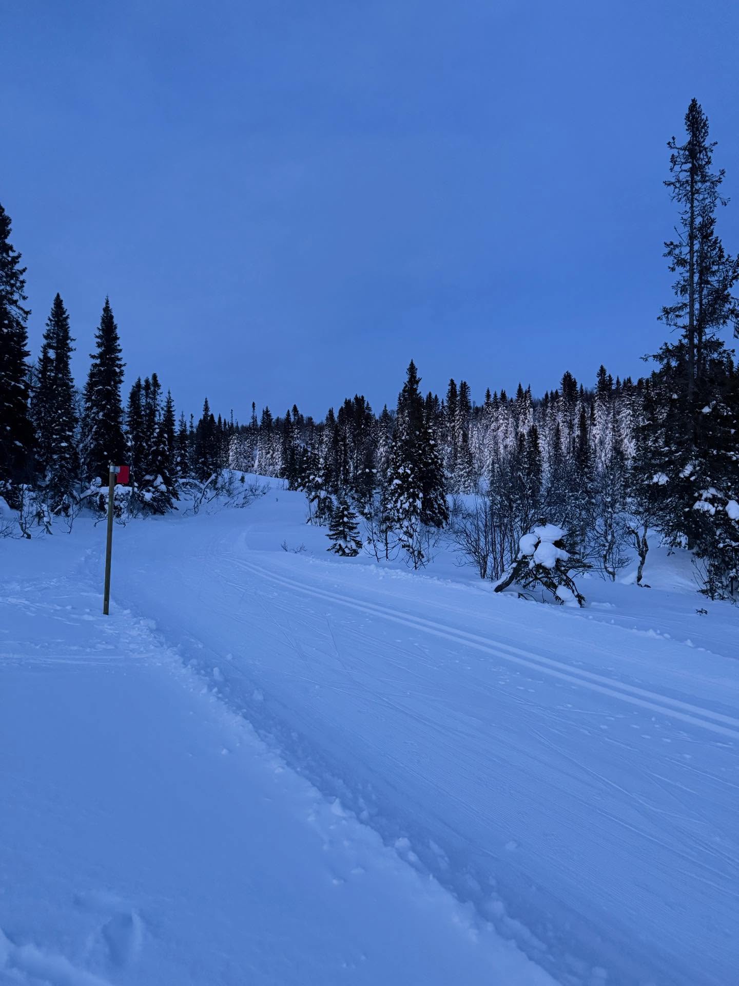 Ljuset är på väg tillbaka 🙌🏻 ☀️❄️
📸 Ullådalen 10/1 kl. 15.45
Lillåstugans öppettider följer ljuset …,
från och med lördag 17 jan är våra öppettider kl. 11.00 - 15.00.
Detta inleds med frukost & Melodikrysset lördag 17/1 kl. 09.00 - 11.00.
Begränsat antal platser, endast förbokning på info@lillastugan.se.
250kr/pers
Varmt välkommen
😊☕️🔥🧇🎶🎼