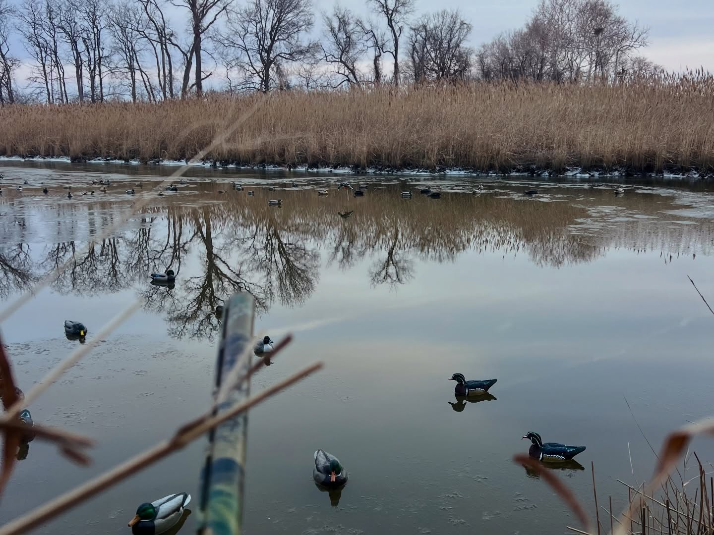 Saturday was a great day in the blind thanks to the generous hunt donated from Full Flight Outfitters. We started with ducks in the morning and moved to goose hunting in the afternoon. Our goal was Canadian geese, but the snow geese stole the show — what felt like more than 10,000 jumping from field to field. Every time it looked like they were about to land with us, they’d take a hard turn into the next field.
Even without bringing home a bird, the laughs, stories, and time together made it a day to remember.
#disabled #adaptive #physicaldisabilities #hunting