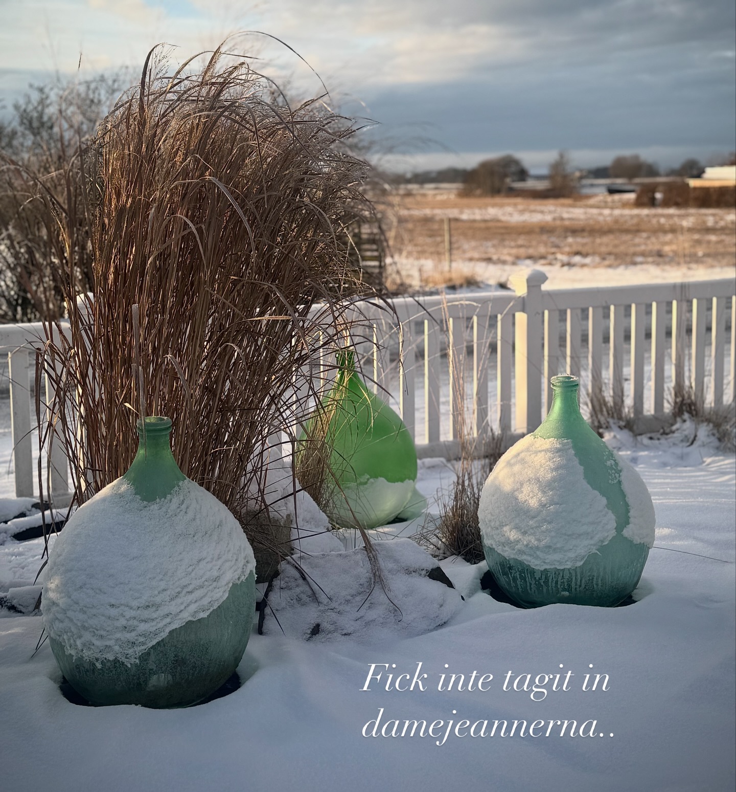 Möttes av kyla och snö när vi kom hem, tacksam att resan gick bra.
Och -13🥶i morse hade jag inte räknat med. Återstår att se hur mycket🪴 som får stryk i denna ihållande kyla..