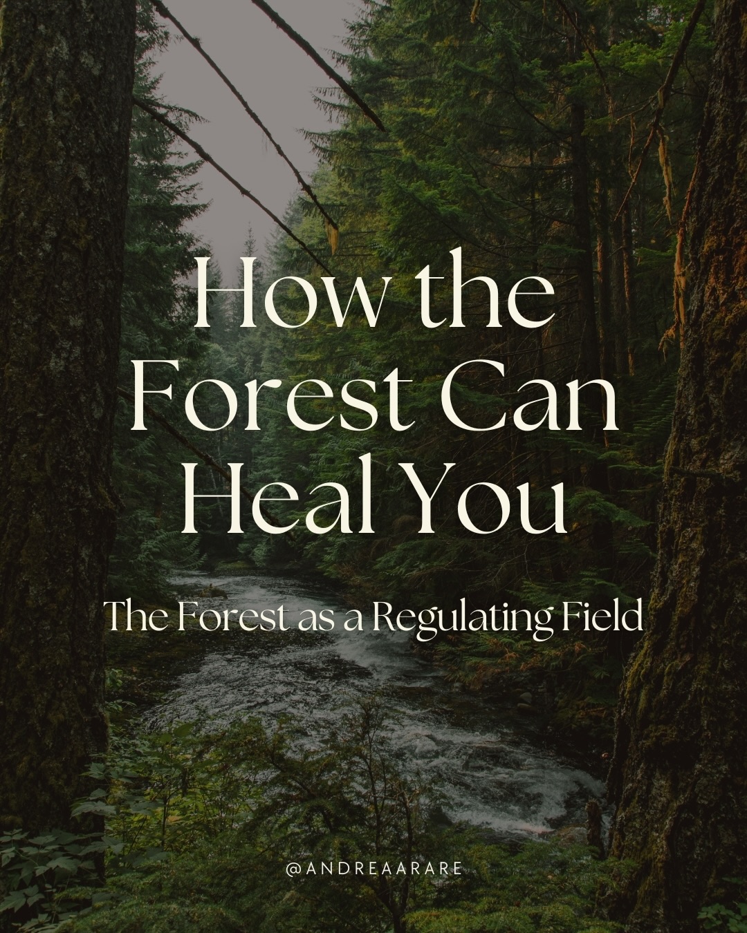 The forest doesn’t heal by doing anything special.
It heals by being what it is:
interconnected, rhythmic, alive, patient.
When you spend time there,
your body remembers how to be the same.
You don’t need to try harder.
You need to return to what already knows how to hold you.
Swipe to explore how the forest can heal you 🍃
#earthwisdom #naturewisdom #mothernature #cyclicalliving