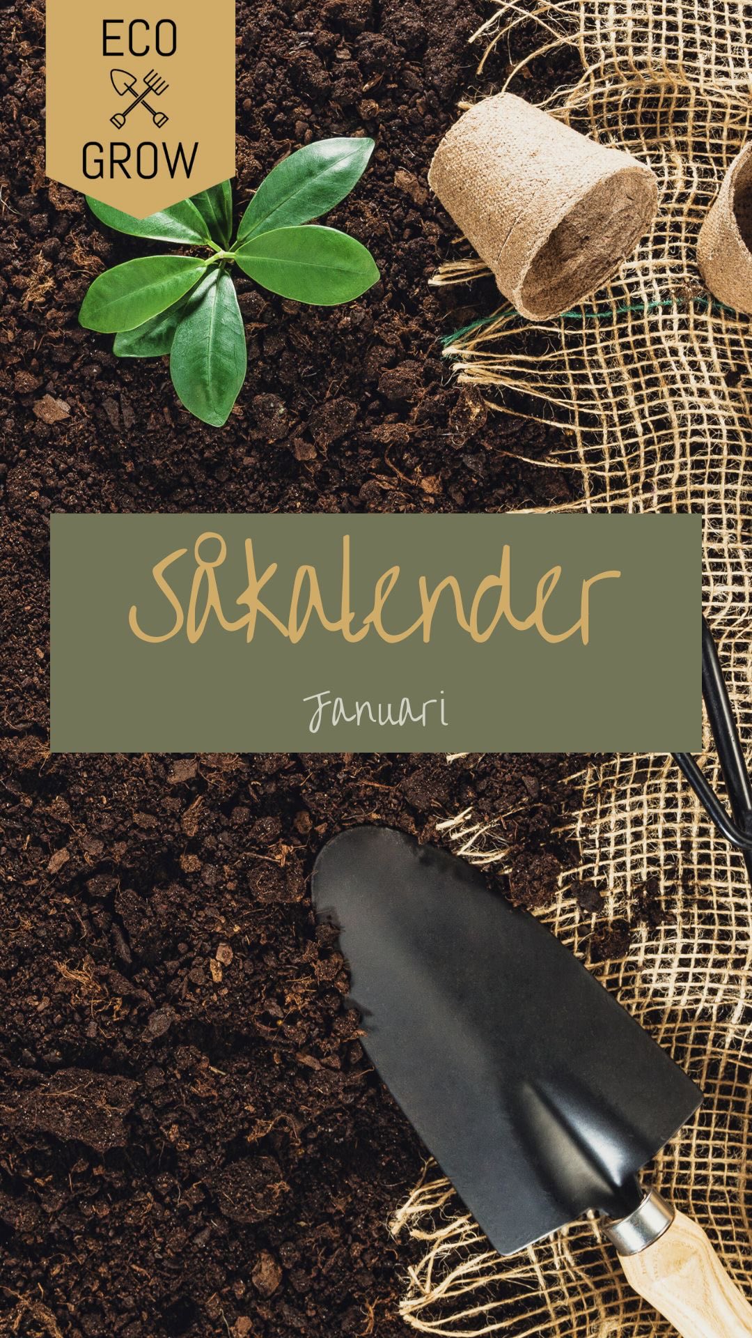 Januari 🌱🌶 - äntligen går vi mot ljusare tider och det börjar klia i odlingsfingrarna!☀️
Det är inget måste att sätta igång med odlingen redan nu, men man är ju sååå sugen!
Här har vi några förslag på vad man kan förodla inomhus redan nu under växtbelysning - fröer hittar ni på ecogrow.nu🌱🌶
.
.
.
.
.
#såkalender #odlingskalender #odlaekologiskt #ekologiskafröer #ekofrö