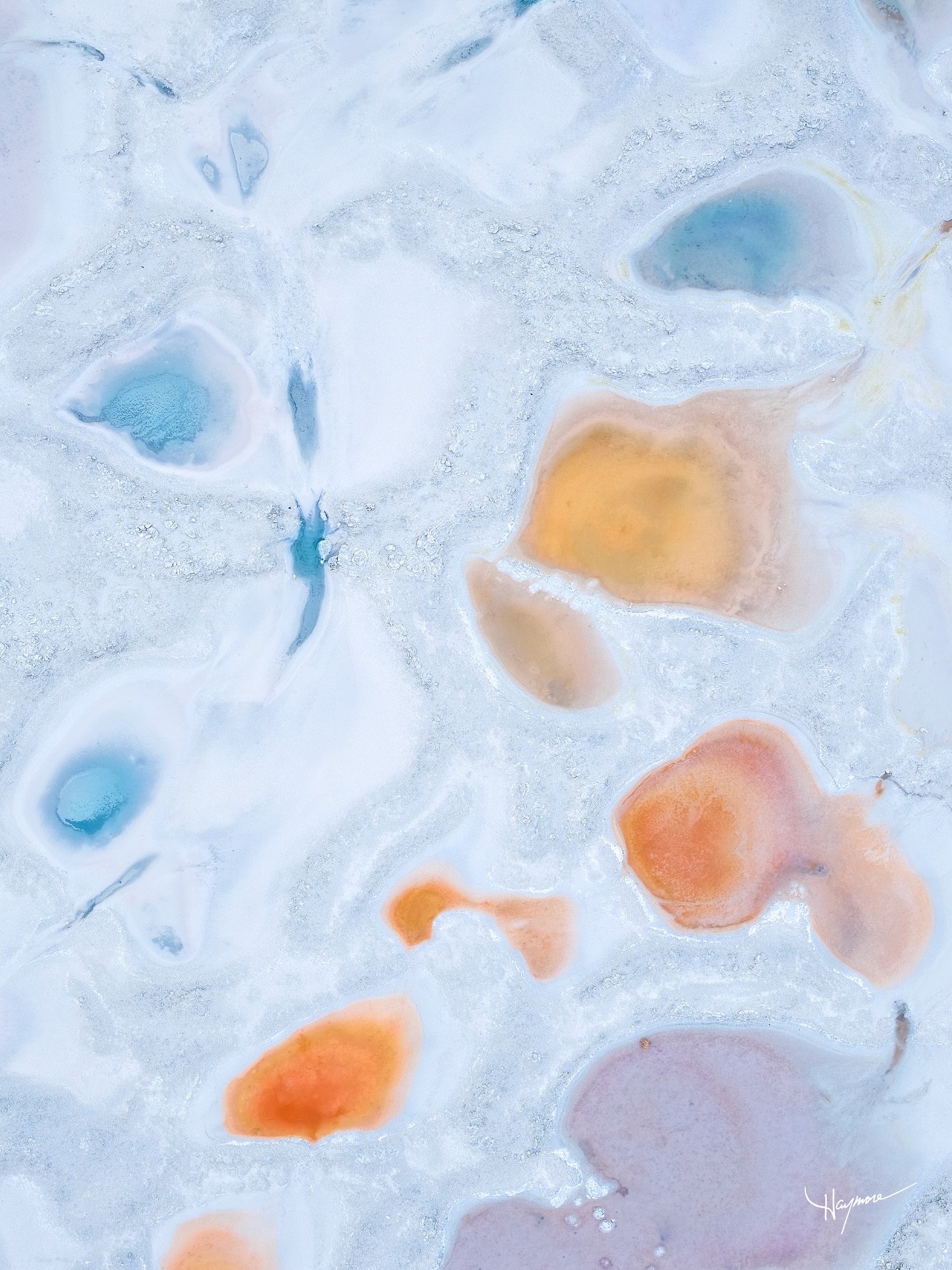 The vivid colorful patterns along the Great Salt Lake are geology in motion.
Various iron-rich springs rise through ancient lakebed sediments, meets oxygen at the surface, and oxidizes into rust-colored minerals. Extreme salinity and seasonal evaporation concentrate those minerals, while microbes help shape the organic, cellular patterns.
What looks abstract and painterly is actually a slow record of water, minerals, and time—rewritten every season.