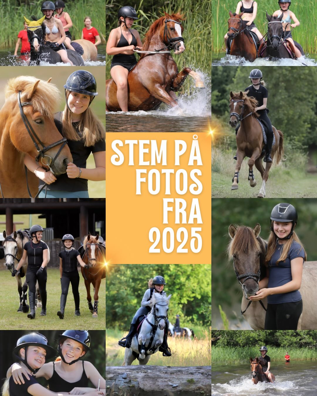 (4/5) Hvilke foto er det bedste? Vi vil i 5 opslag finde de bedste fotos fra 2025. Skriv tallet i kommentaren på det foto du bedst kan lide. Tallet står nederst i bunden på hvert foto❣️- I hvert af de 5 opslag finder vi et vinderfoto - det som flest har stemt på. De 5 fotos med flest stemmer vil dyste om 1. pladsen til sidst. Alle der stemmer har mulighed for at vinde en gave som vi offentliggør til slut💝 Stem gerne i alle 5 opslag🏆