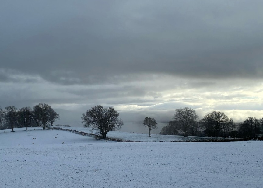 Snowed-in day 3. Iced-in really as we have a steep access road. On the plus side we have 3 fridge freezers ❄️
#carmarthenshire
#snowscapes
#wintergarden