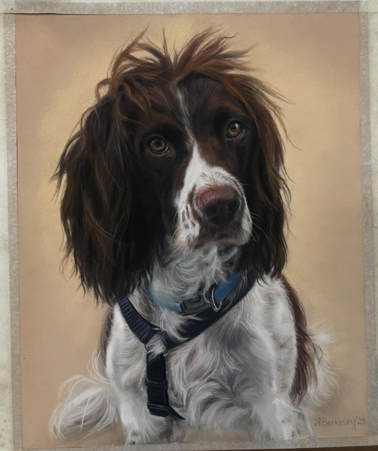 Rocco â¨
The most gorgeous Springer Spaniel. You can see from the reference image heâs on a boat- clearly living a his best life! Created just before Christmas
#springerspaniels #uniquegift #springerspanielworld