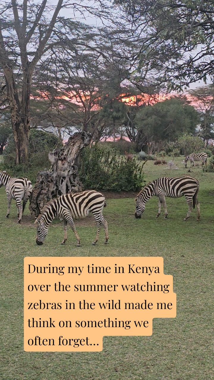 Creation reminds us what trust looks like.
Nothing rushed. Nothing forced.
Just rhythm, design, and surrender.
God’s timing is perfect
in nature, in life, and in birth.
“Be still, and know that I am God.” Psalm 46:10 🌅
#FaithAndBirth
#BirthWithTrust
#ChristianPregnancy
#TrustYourBody
#DoulaSupport
#blackdoula
#christianhypnobirthing