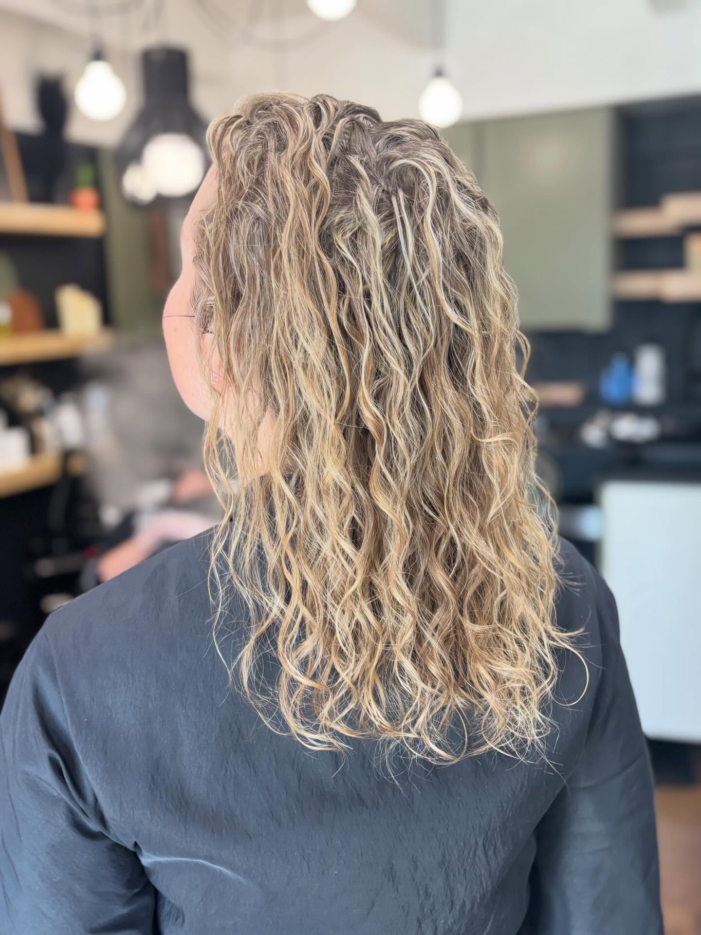 Meet Meghan.
✨This image isn’t about hair perfection—it’s about progress, commitment, and finding beauty in the process.
✨When she first came to me, stress, hormones, and poor scalp care had taken a toll on the density of her hair. Even at a young age, genetics and scalp concerns were working against her.
✨We started her on a combination of consistent in-salon services and an at-home hair regrowth protocol—and things changed quickly. Her hair doubled in density with consistency.
✨Recently we added regular head spa services every 3 months, and after just 2 treatments, look at all the growth.
Swipe to see what’s happening now →
✨Those short hairs you see? That’s not breakage. That’s new growth. All over her head.This is what’s possible when you address hair loss early, stay consistent, and give your body the support it needs.
✨I wrote an entire blog about the connection between stress and hair loss—what’s actually happening in your body, why it shows up in your hair, and what you can do about it.
Link in bio.