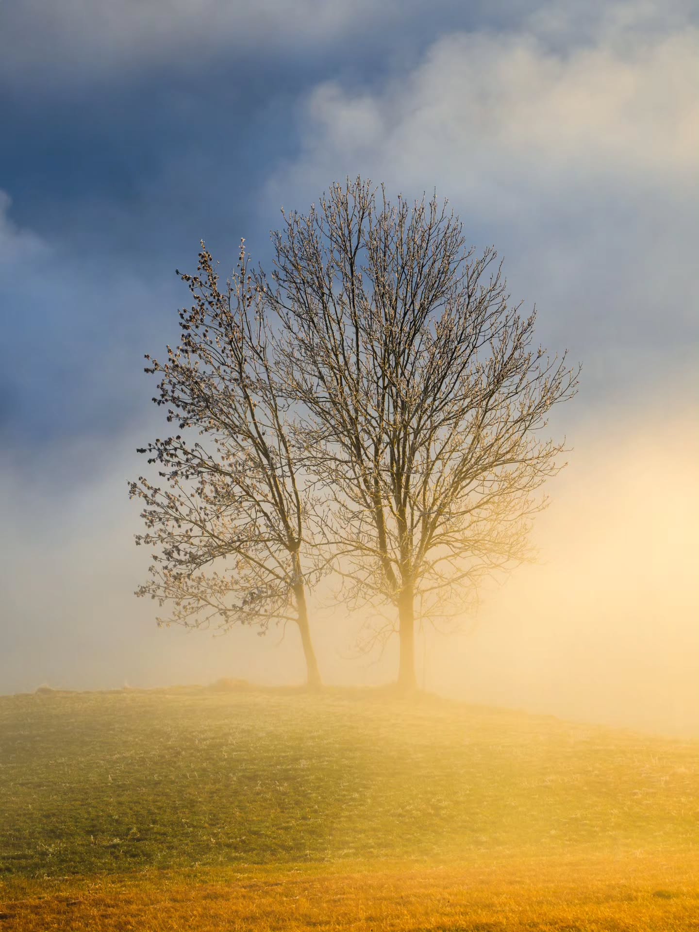 My favorite color palette in the Swiss countryside without snow.