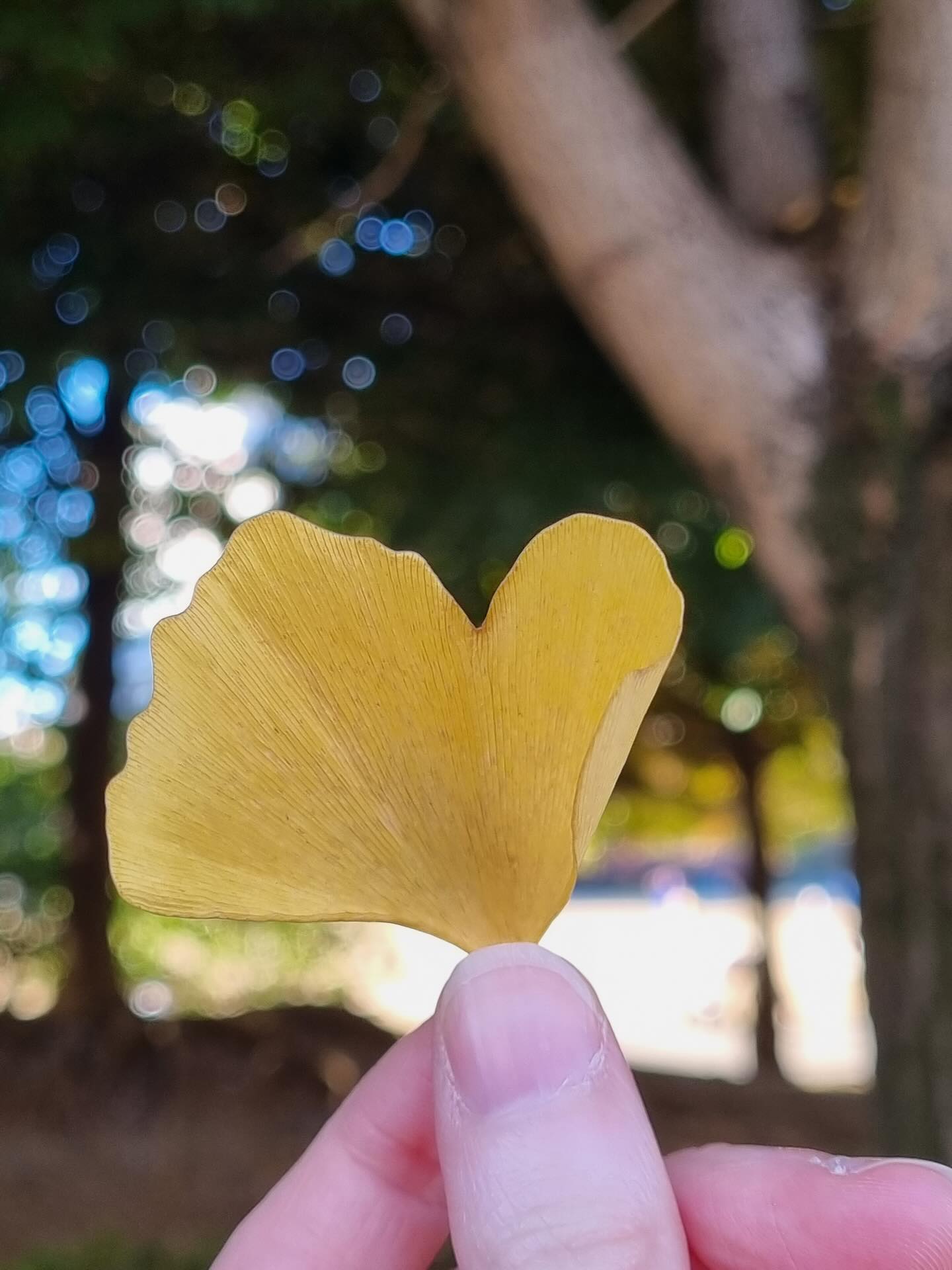 La satire dans le Bureau des âmes
C’est marqué sur la quatrième de couverture : la saga du Bureau se veut une version imaginaire et fantasmée de notre monde, un univers où la vie et la mort s’entremêlent comme deux facettes d’une même pièce. Pourtant, derrière le fantastique se cache une satire de notre société. Car c’est bien là le propre de l’imaginaire (dans la saga du moins) : romantiser le quotidien, tout en soulignant ses fractures et ses beautés insoupçonnées.
PS: si vous souhaitez embraser l’algorithme, vous pouvez répondre à la question du post (qui n’en était pas une) en commentaires 🫥
Rappel: Le tome I du Bureau des âmes est disponible en libraire sous les @editions_octoquill 🖤
Mots-clés : littérature de l’imaginaire - SFFF - autrice française - thriller fantastique - saga française - le bureau des âmes - satire sociale
Hashtags: #bookstagramfrance #fantasyfrancaise #sfff #thrillerfantastique #newadult
