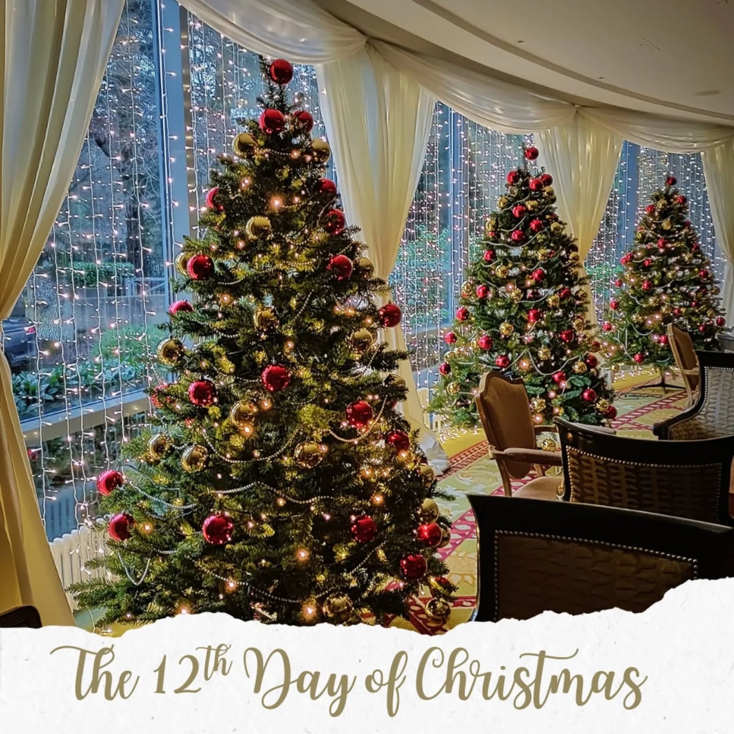 Dreaming of a Christmas Wedding?
There's just something so magical about a winter wedding
✨
Shorter days, misty air, frosty mornings, and (if you’re lucky) snow, create a naturally cinematic backdrop. Even without snow, winter light is softer and more romantic.
🕯️
Winter weddings shine, thanks to candles, lanterns, and fireplaces. The glow feels cosy, dramatic, and incredibly elegant, especially as daylight fades early.
🤍
Guests naturally gather closer in winter. Venues feel warmer, conversations linger longer, and the whole day often feels more heartfelt and connected.
If you would like to add that extra little bit of magic to your day, just message me with your email for a copy of our brochure, full of inspiration ✨