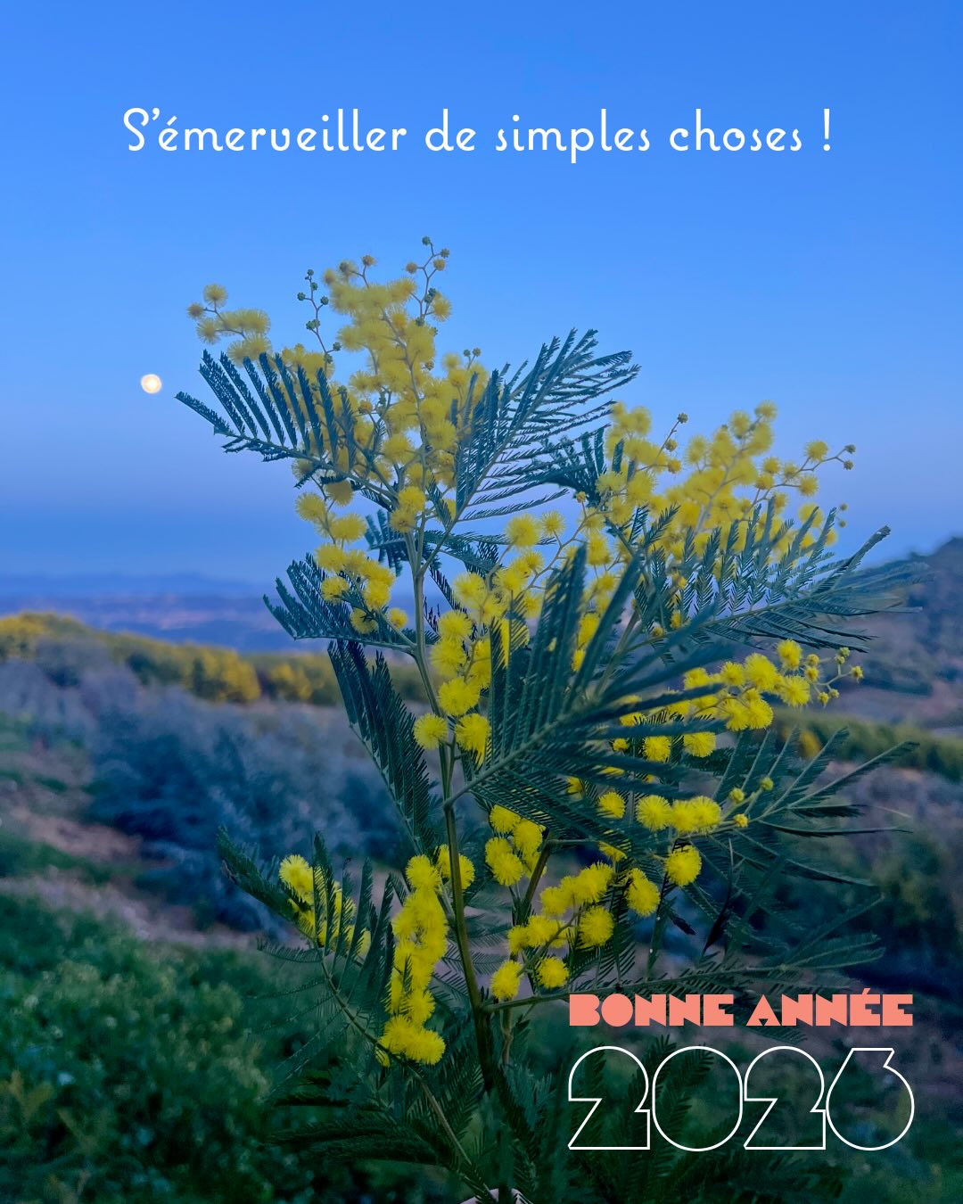 Je vous souhaite une très belle et confortable année 2026 !!! 💫
Qu’elle soit l’annee de l’authenticité, la bienveillance et la créativité.
Et surtout prenez soin de vous 🙏
#happy2026 #happynewyear #architectureinterieur #simpleschoses #ilovenature❤️
Aurelie Faure architecte d’intérieur à Montpellier