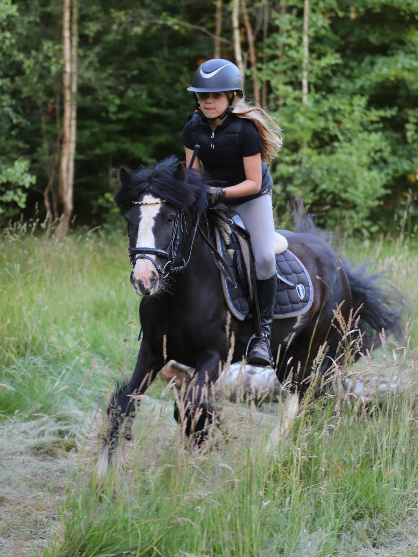 En af vores skønne elevponyer her på Østerlund, Iris🖤😍 #østerlundridelejr #danmarkssjovesteridelejr