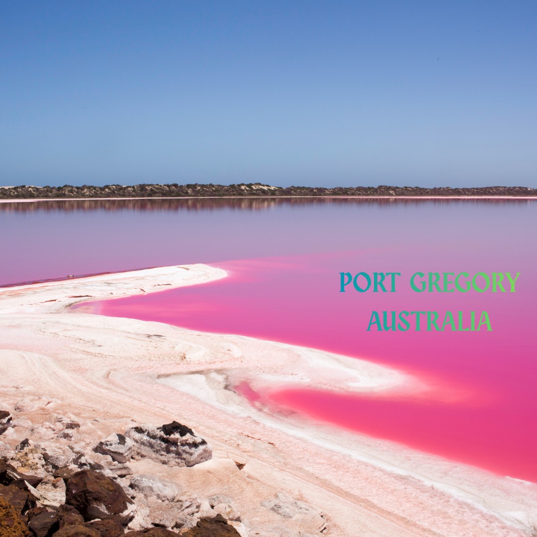 Most people stop at the lookout, take a 📷 photo, and leave.
What they don’t know is this:
♡₊˚ 🦢・₊✧ The lake changes color 🌈 constantly.
From bubblegum pink…
to hot magenta…
to peach-orange…
to soft lavender.
In winter, it can even turn silvery white.
The shifting colors come from Dunaliella salina, a microalgae 🪸 harvested for beta carotene.
A surreal slice of Australia that feels almost otherworldly.
#portgregory #australia #cruiseport #cruiseline #cruiseplanner #summertrip #wintertrip #travelplanner