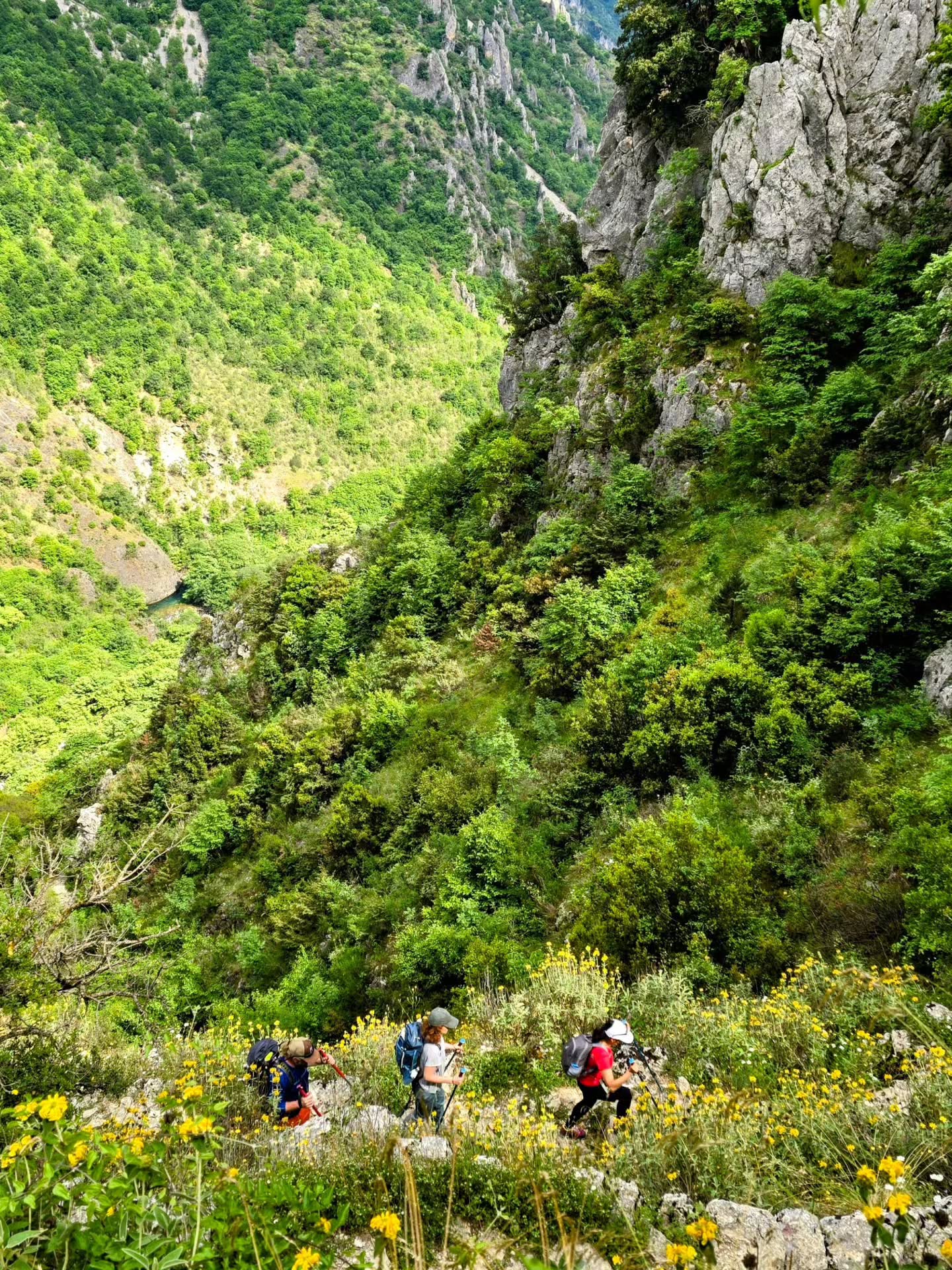 🌄 Step off the beaten track and into a world of ancient trails and mountain magic…
Zagorochoria is one of Greece’s most enchanting landscapes — 46 traditional stone villages connected by old footpaths, forests, rivers and gorge-top views that take your breath away. Recently featured by BBC Travel for its remarkable village-linking trail, this route reveals a side of Greece that feels timeless and unforgettable.
✨ Trip highlights:
• Walking centuries-old kalderimia stone paths & iconic bridges 🥾
• Descending into the dramatic Vikos Gorge — often called the Greek Grand Canyon ⛰️
• Climbing the legendary Vradeto Steps to alpine views 🪜
• Rafting the crystal clear Voidomatis River 🏔️
• Warm village hospitality and local flavours 🍷
If you’ve been dreaming of purposeful hikes, deep forests and stories around every bend, I’m guiding small Zagorochoria retreats in 2026 — a chance to explore these landscapes together at a thoughtful pace. 🤍
👉 Link in bio or DM me for dates & details.
#Zagorochoria #GreeceHiking #BBCTravel #VikosGorge #AdventureAwaits NefeliNine